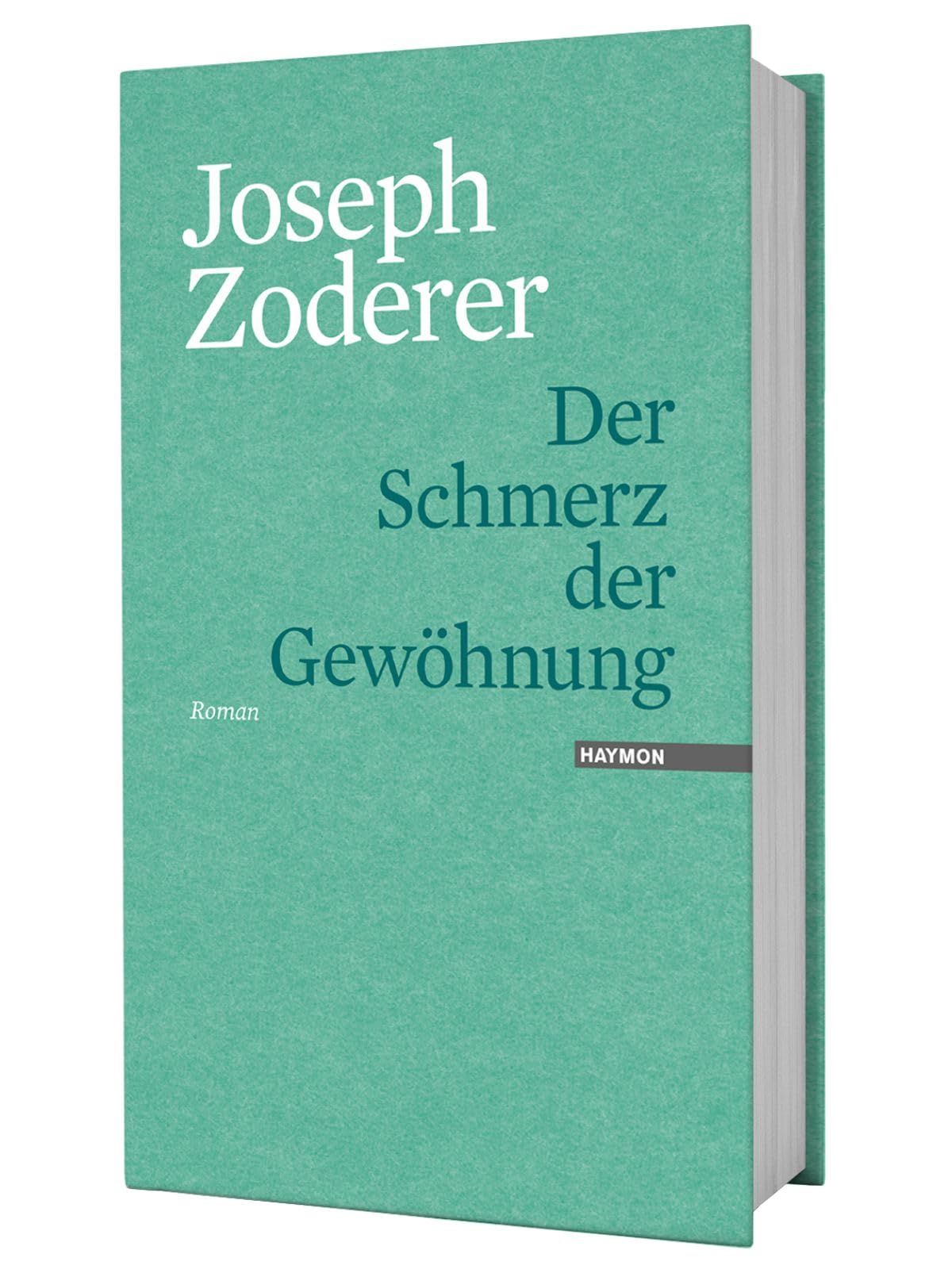 Der Schmerz der Gewöhnung. Roman Contemporary literature
