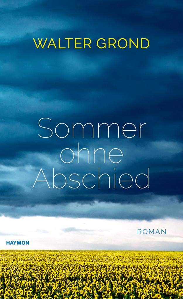 Sommer ohne Abschied Contemporary literature Books