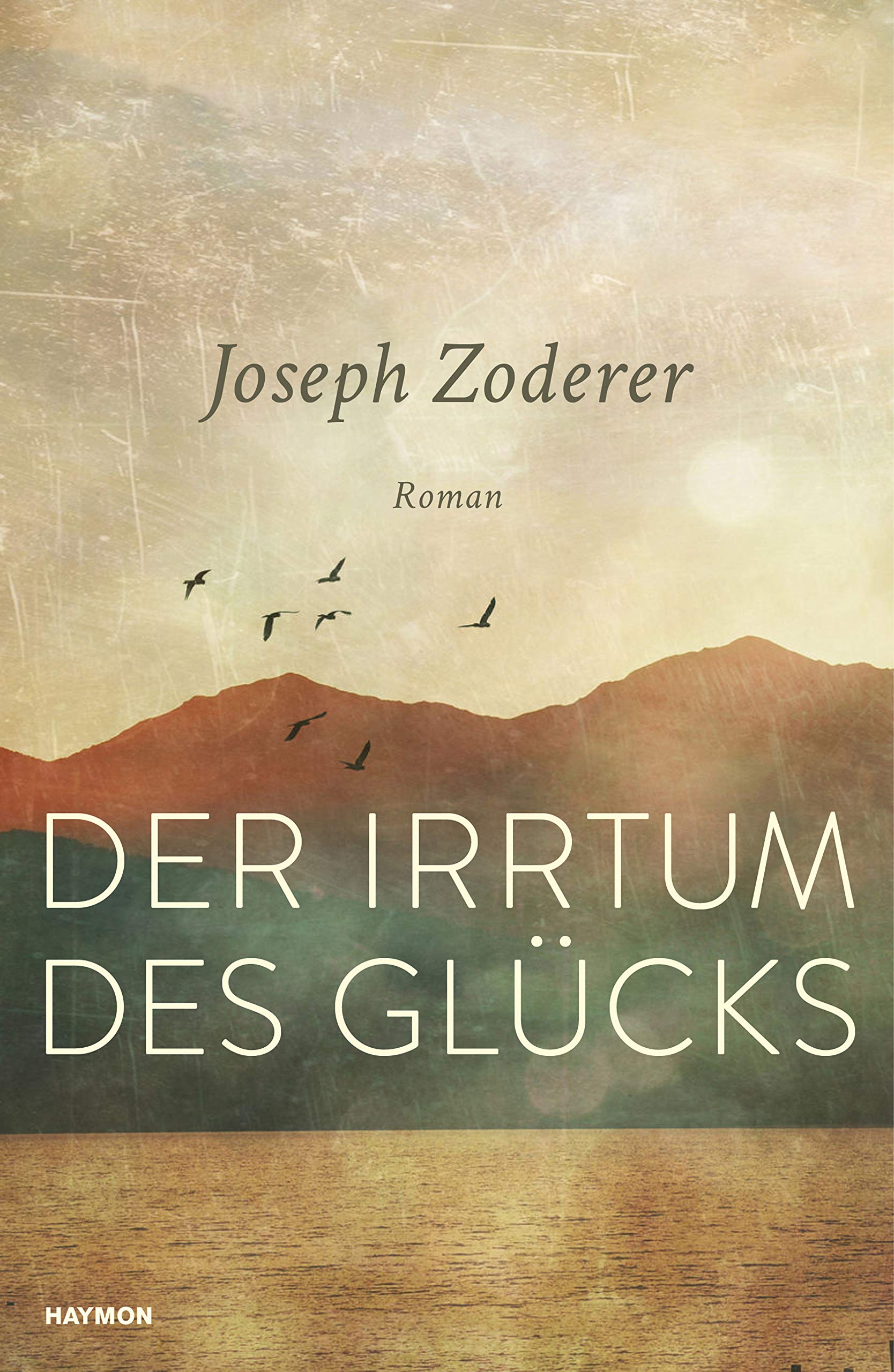Der Irrtum des Glücks Contemporary literature Books
