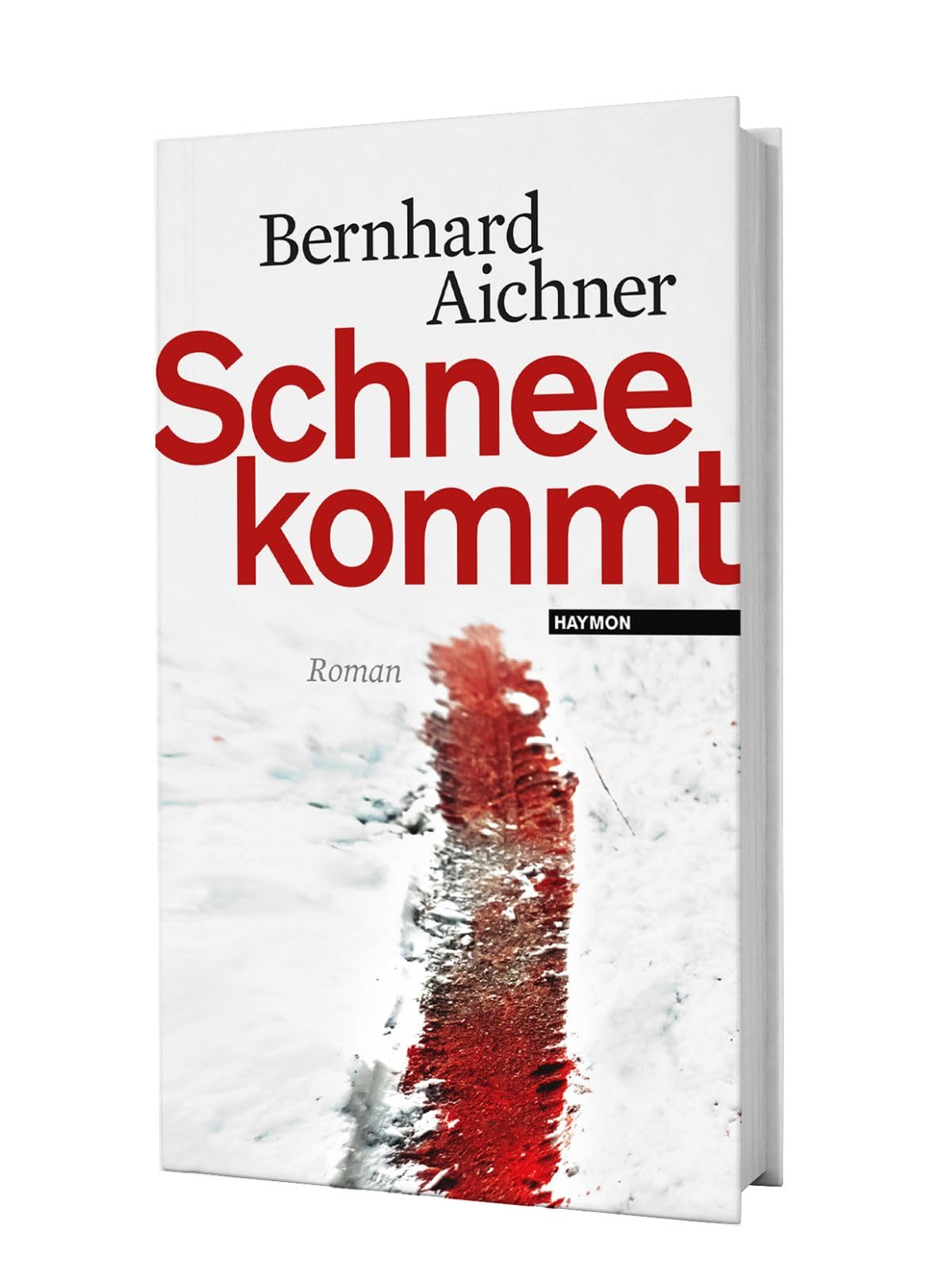 Schnee kommt Contemporary literature Books