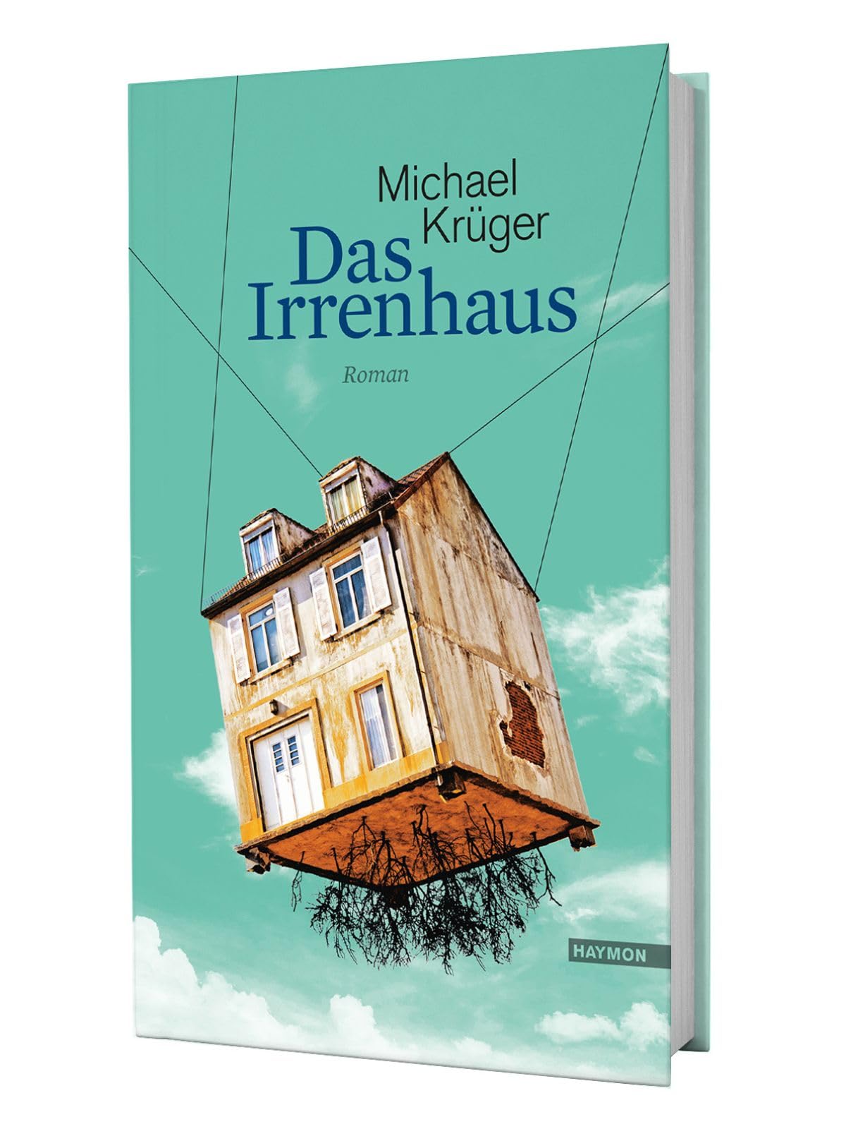 Das Irrenhaus Contemporary literature Books