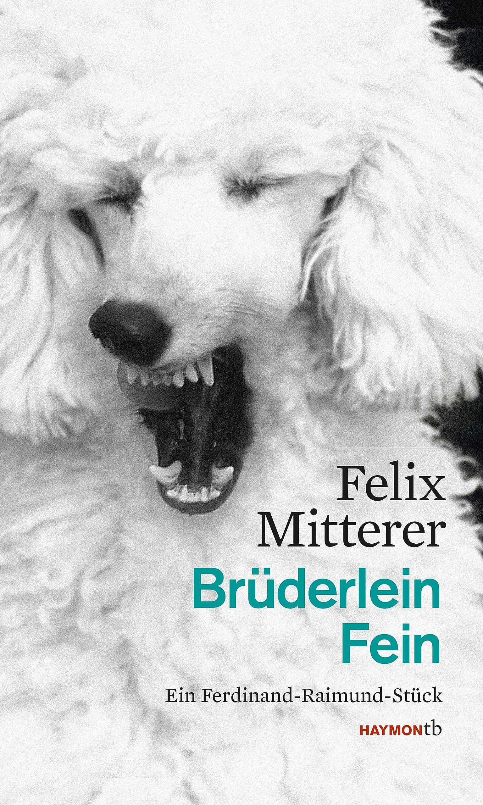 Brüderlein Fein: Ein Ferdinand-Raimund-Stück (HAYMON TASCHENBUCH) Drama