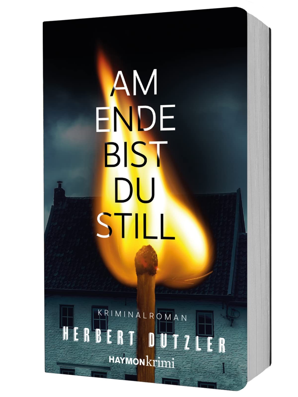 Am Ende bist du still Contemporary literature Books