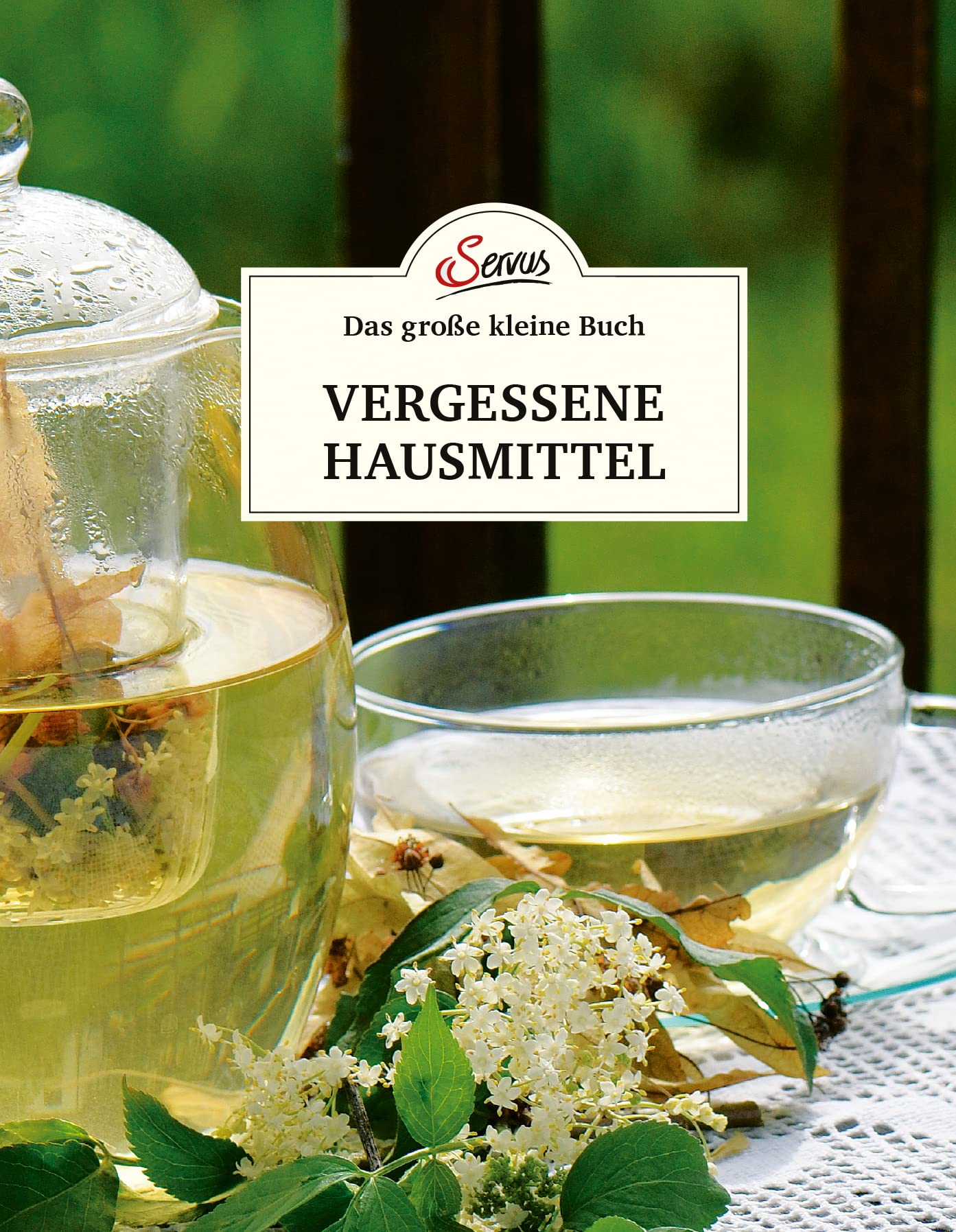 Das kleine Buch: Vergessene Hausmittel Medicine
