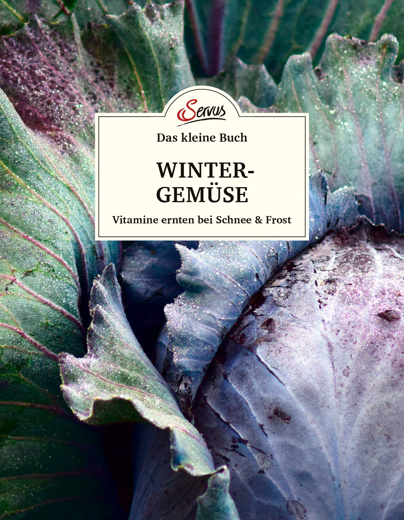 Das kleine Buch: Wintergemüse Garden & Plants Books