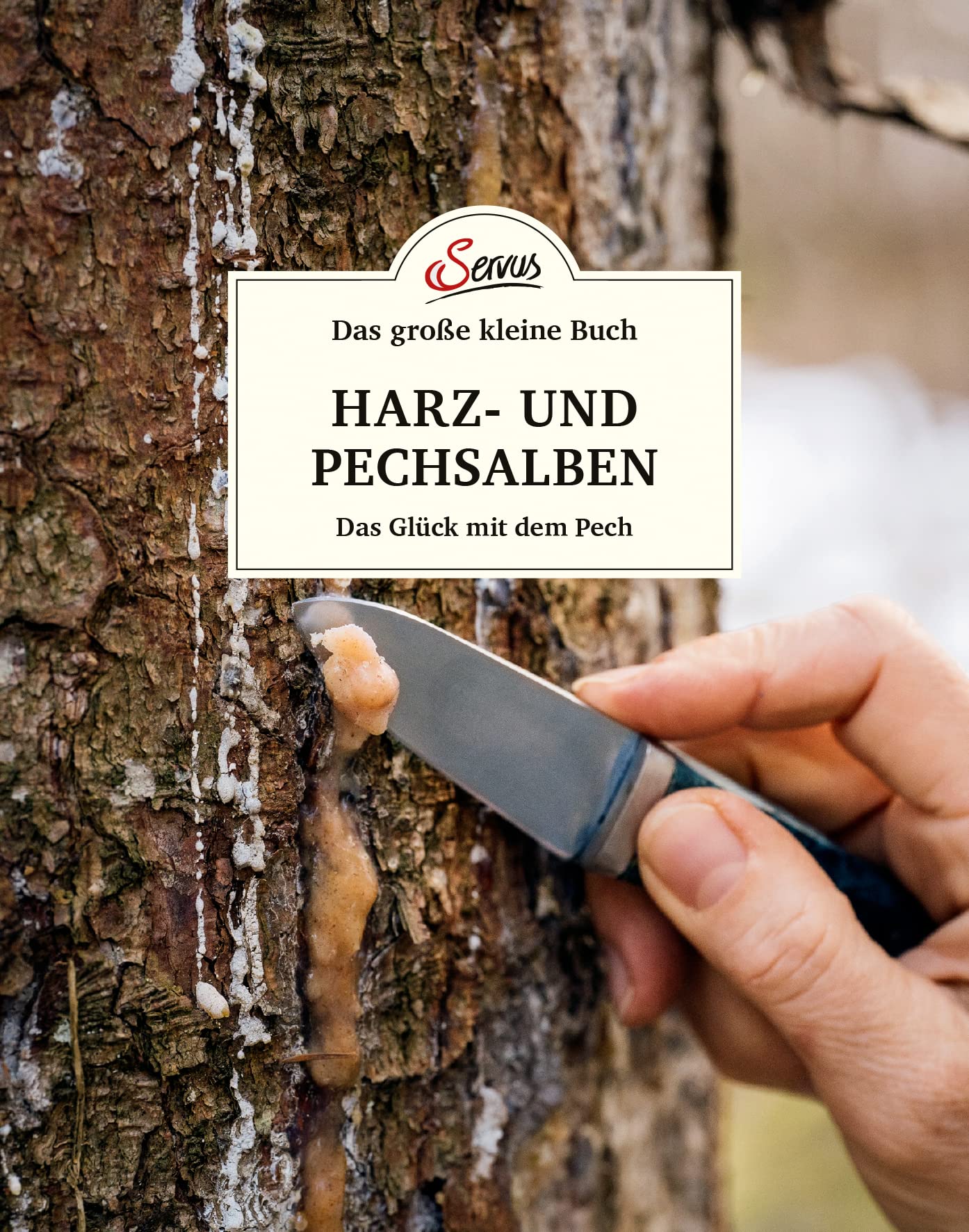 Das große kleine Buch: Harz- und Pechsalben Medicine