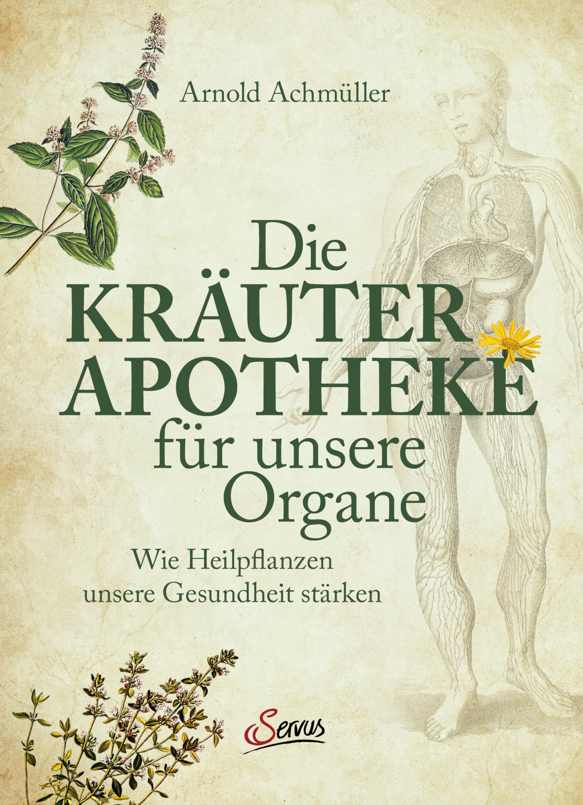 Die Kräuter-Apotheke für unsere Organe Medicine