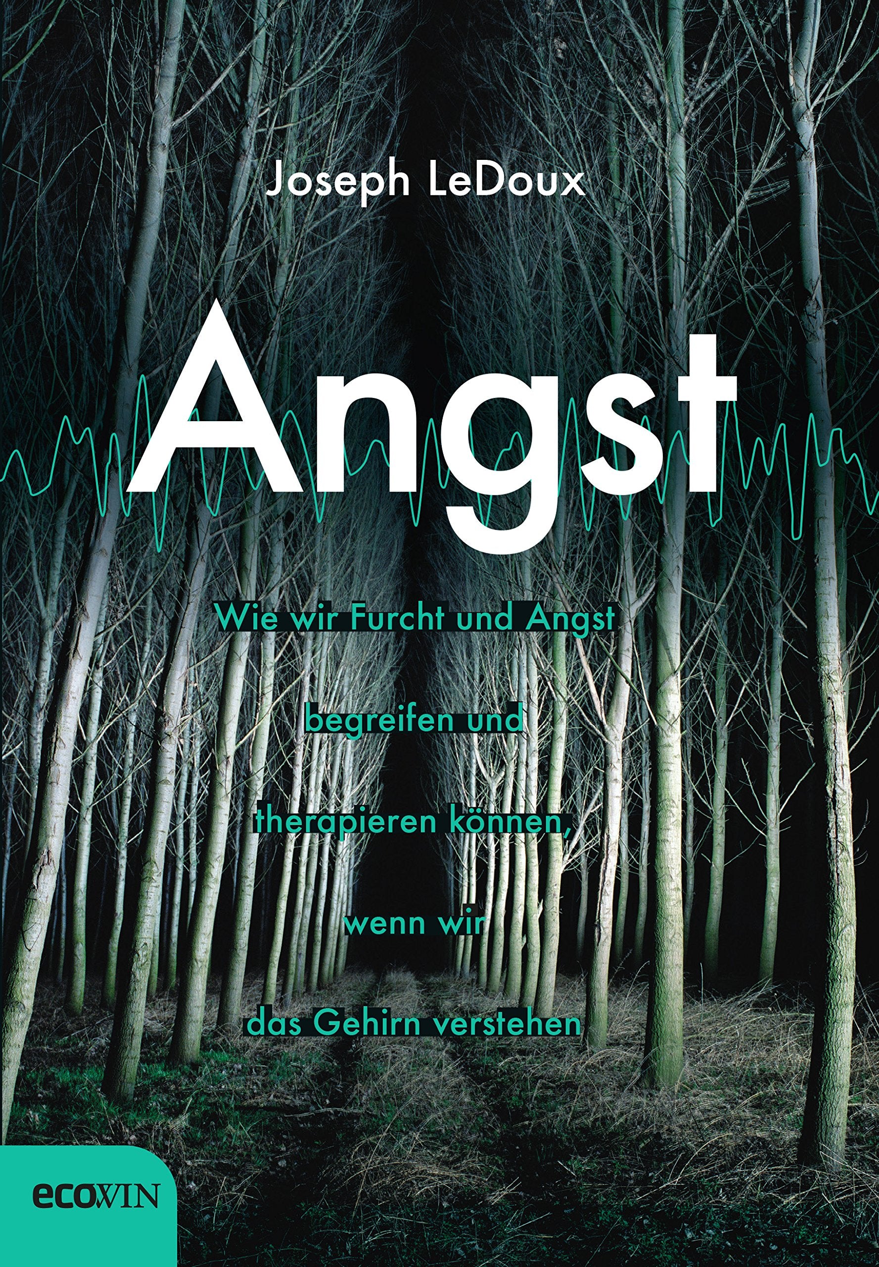 Angst Psychology