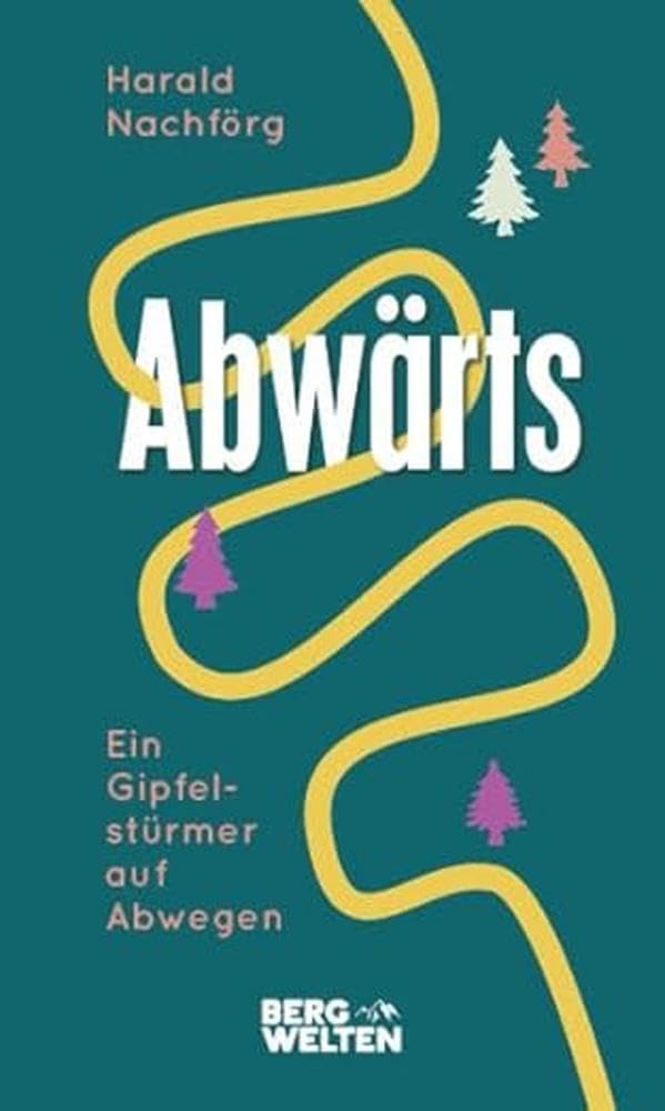 Abwärts. Ein Gipfelstürmer auf Abwegen Contemporary literature