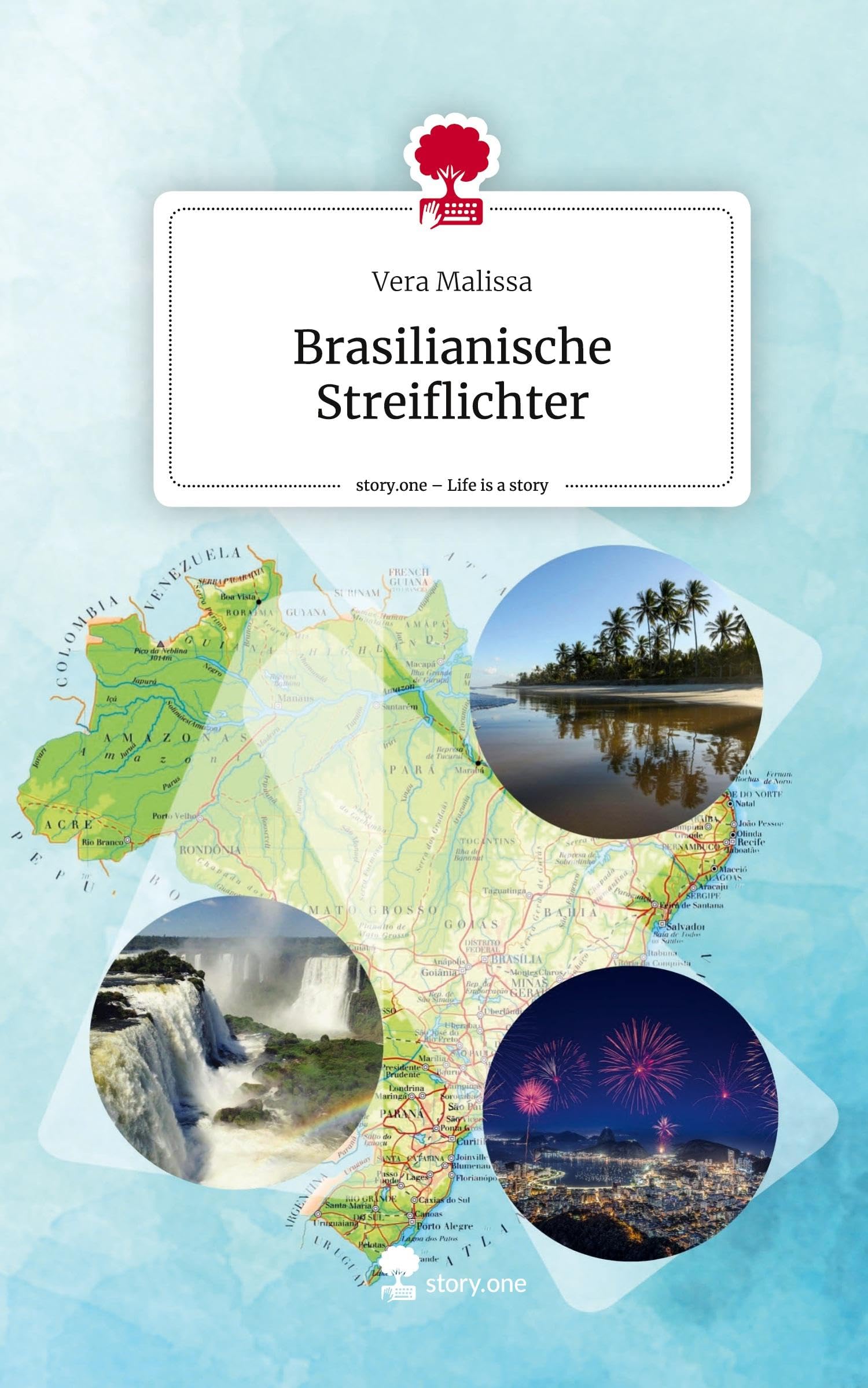 Brasilianische Streiflichter. Life is a Story - story.one book