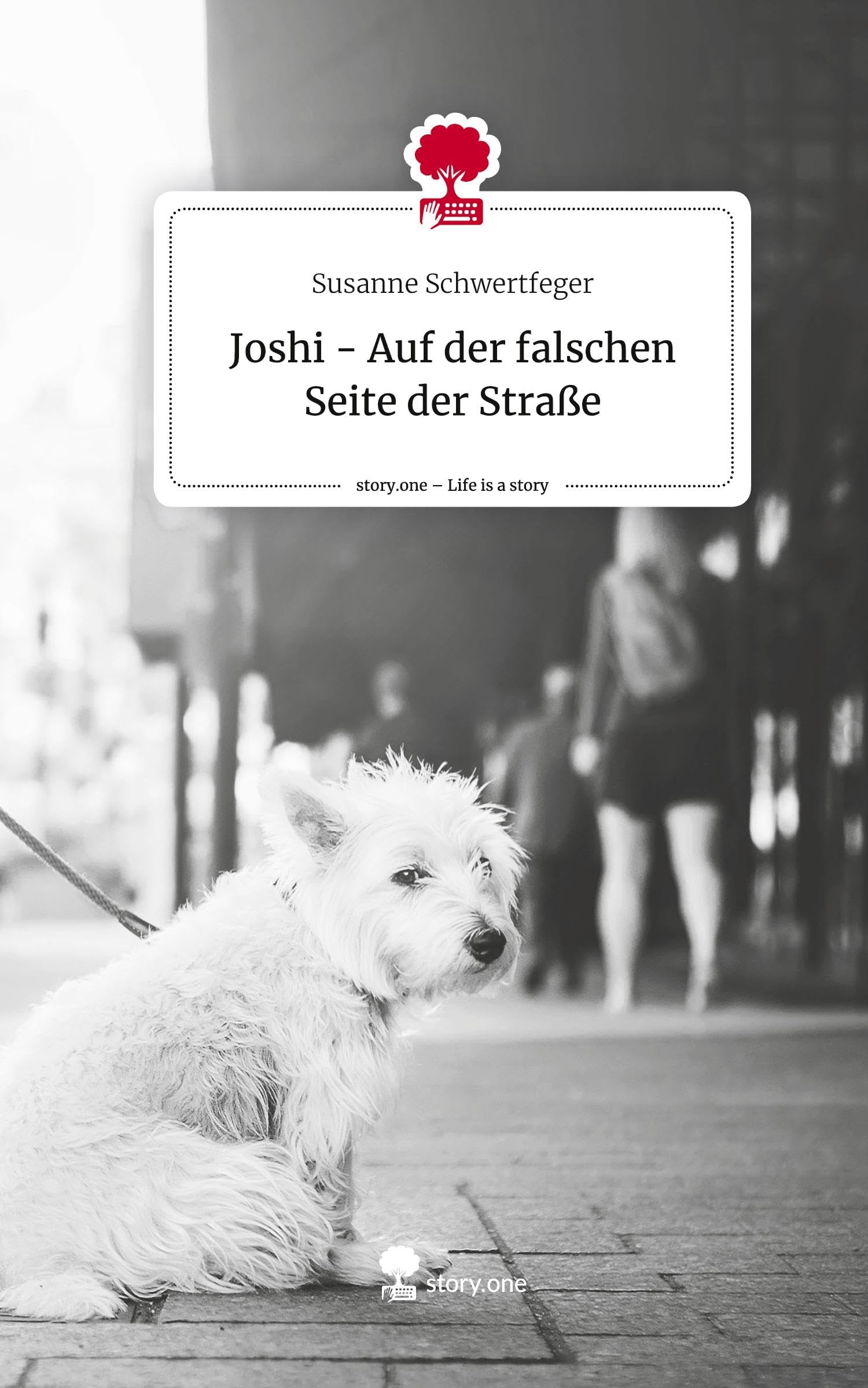 Joshi - Auf der falschen Seite der Straße. Life is a Story - story.one Contemporary literature