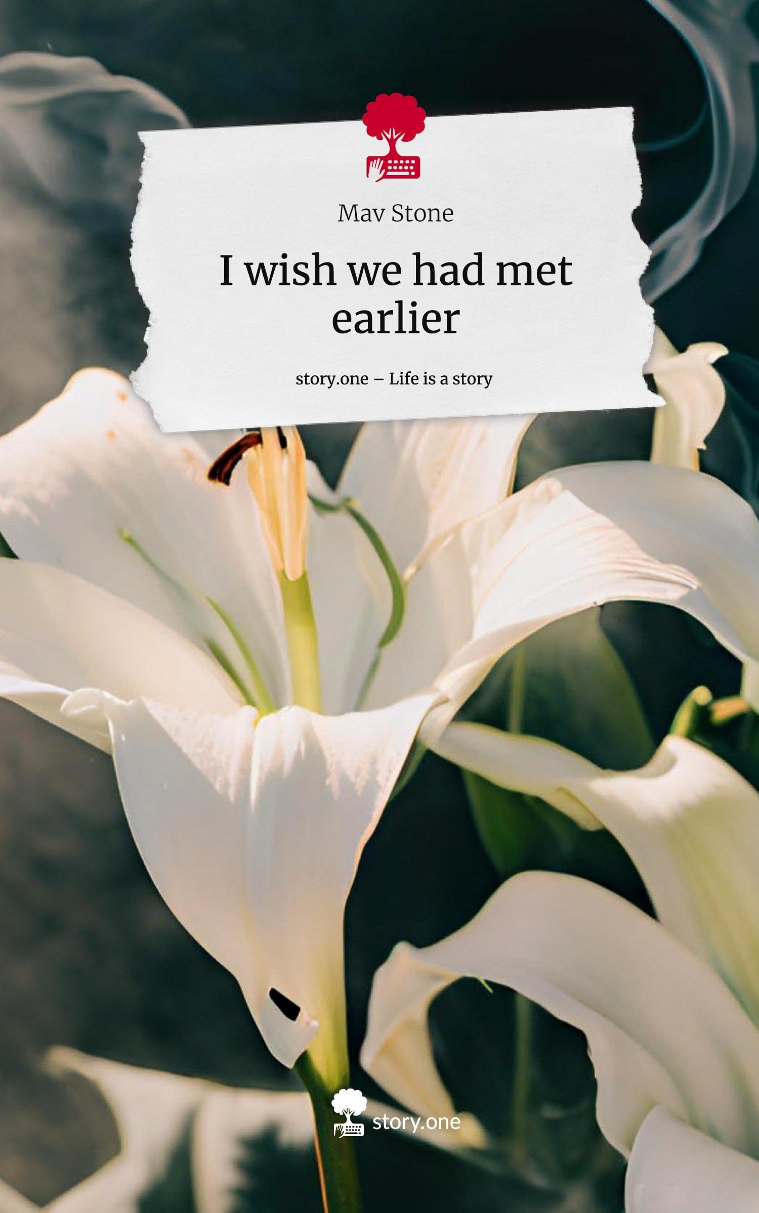 I wish we had met earlier. Life is a Story - story.one Contemporary literature