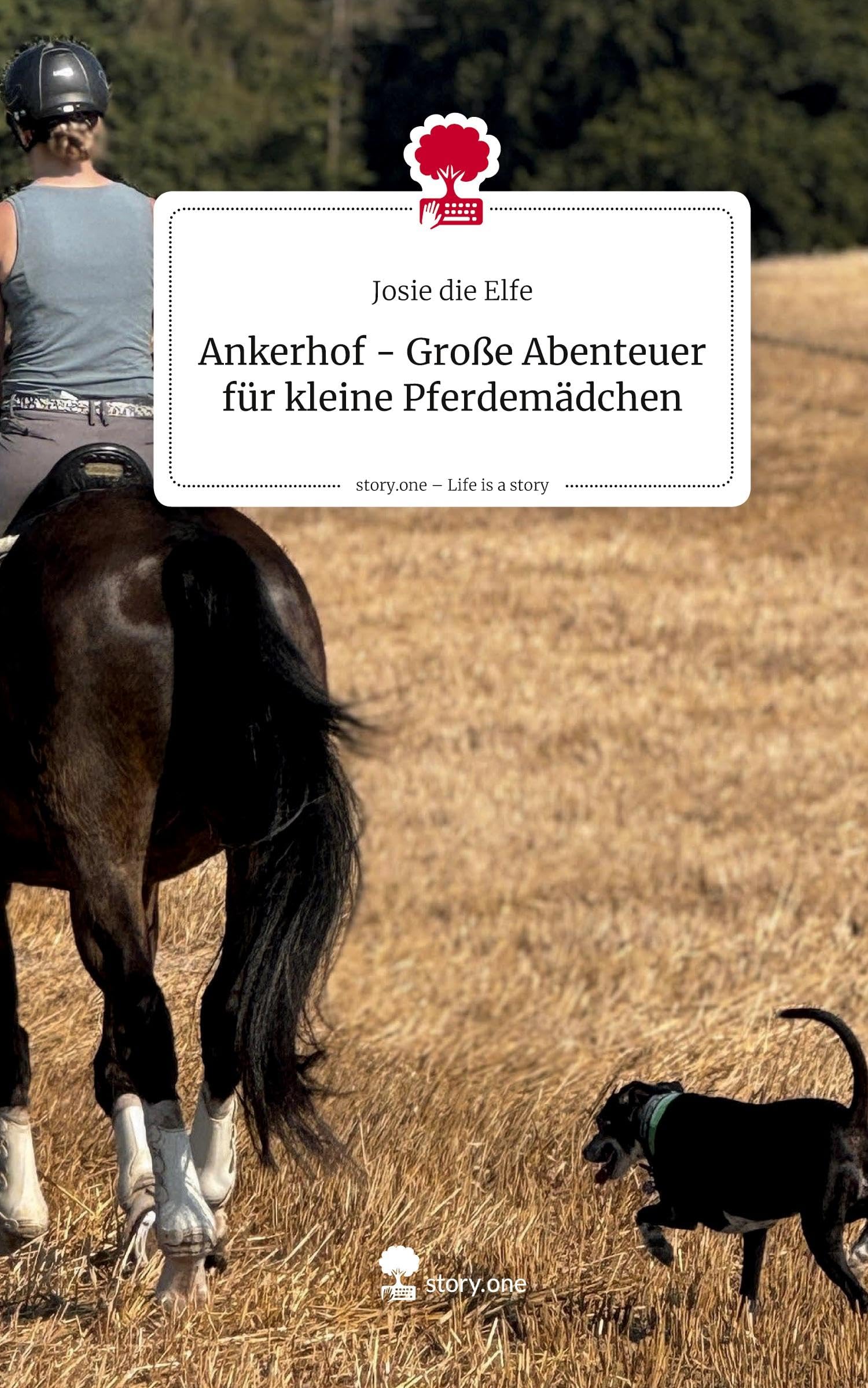 Ankerhof - Große Abenteuer für kleine Pferdemädchen. Life is a Story - story.one Contemporary literature