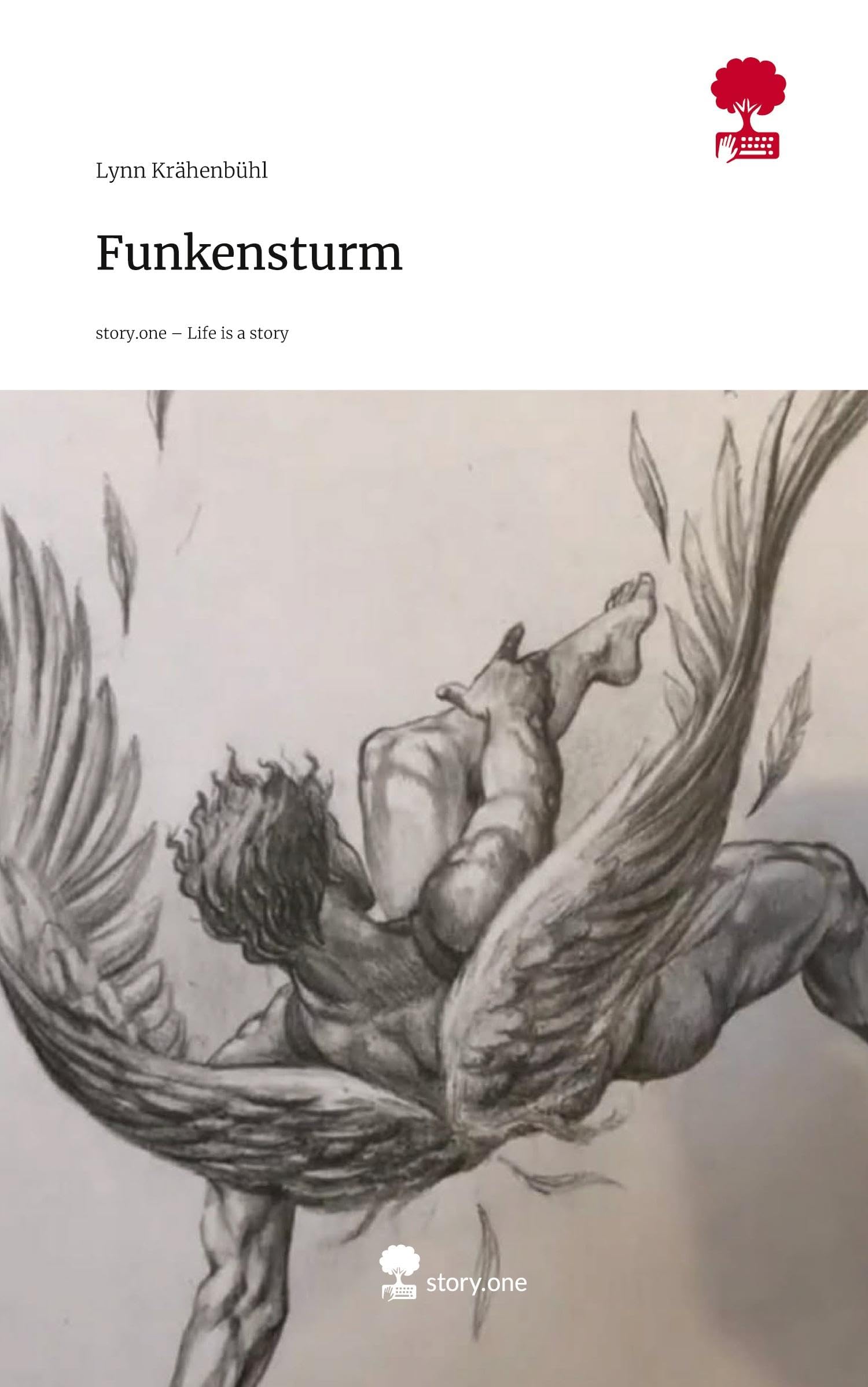 Funkensturm. Life is a Story - story.one Contemporary literature