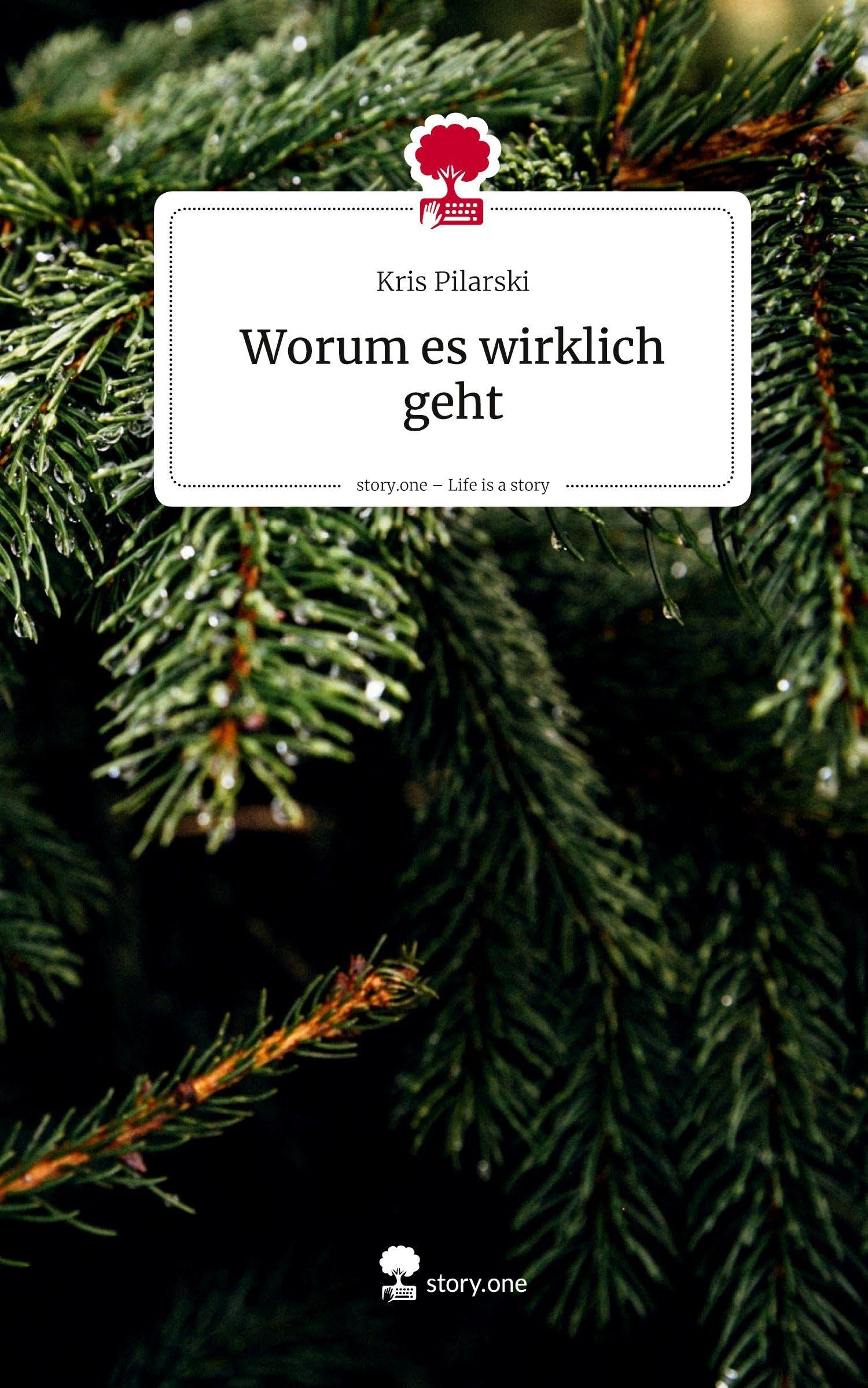 Worum es wirklich geht. Life is a Story - story.one Contemporary literature