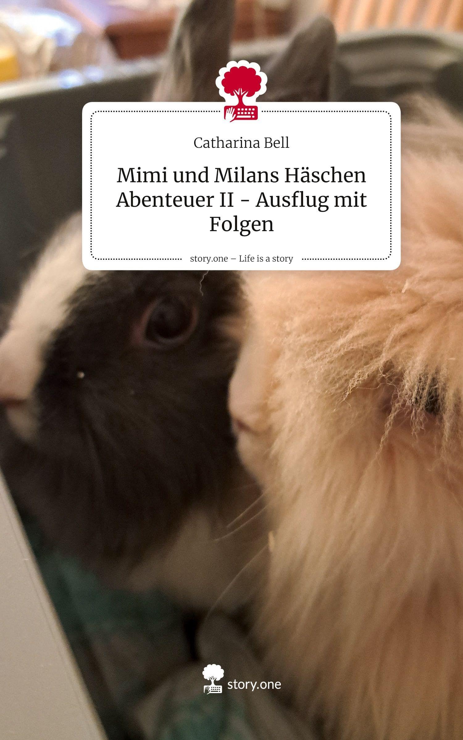 Mimi und Milans Häschen Abenteuer II - Ausflug mit Folgen. Life is a Story - story.one Leisure, Home & Garden