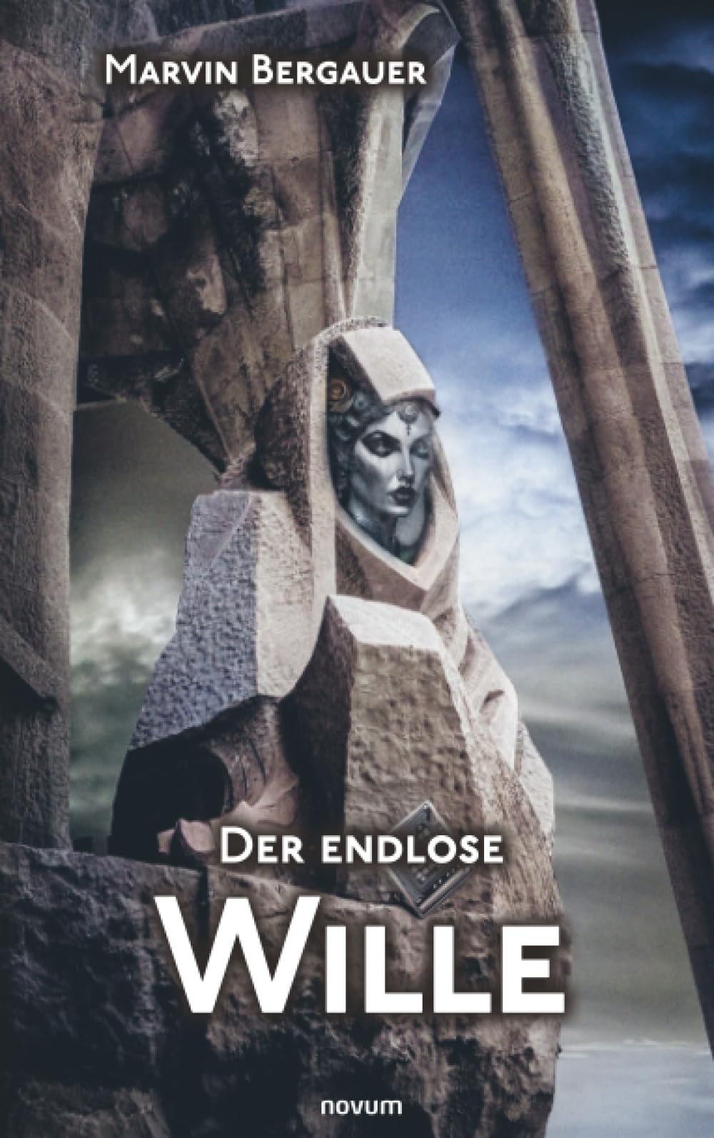 Der endlose Wille Contemporary literature Books