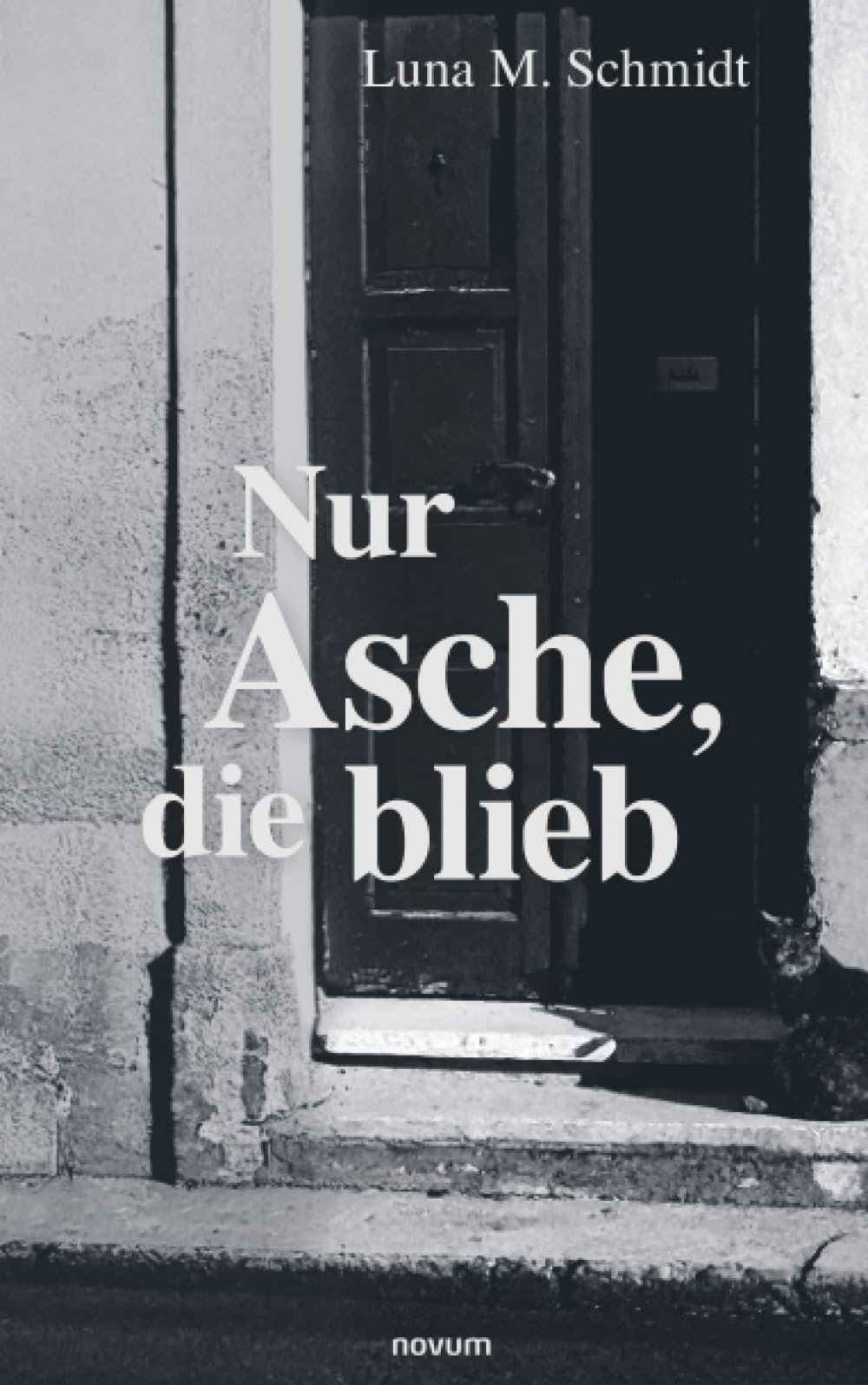 Nur Asche, die blieb Contemporary literature