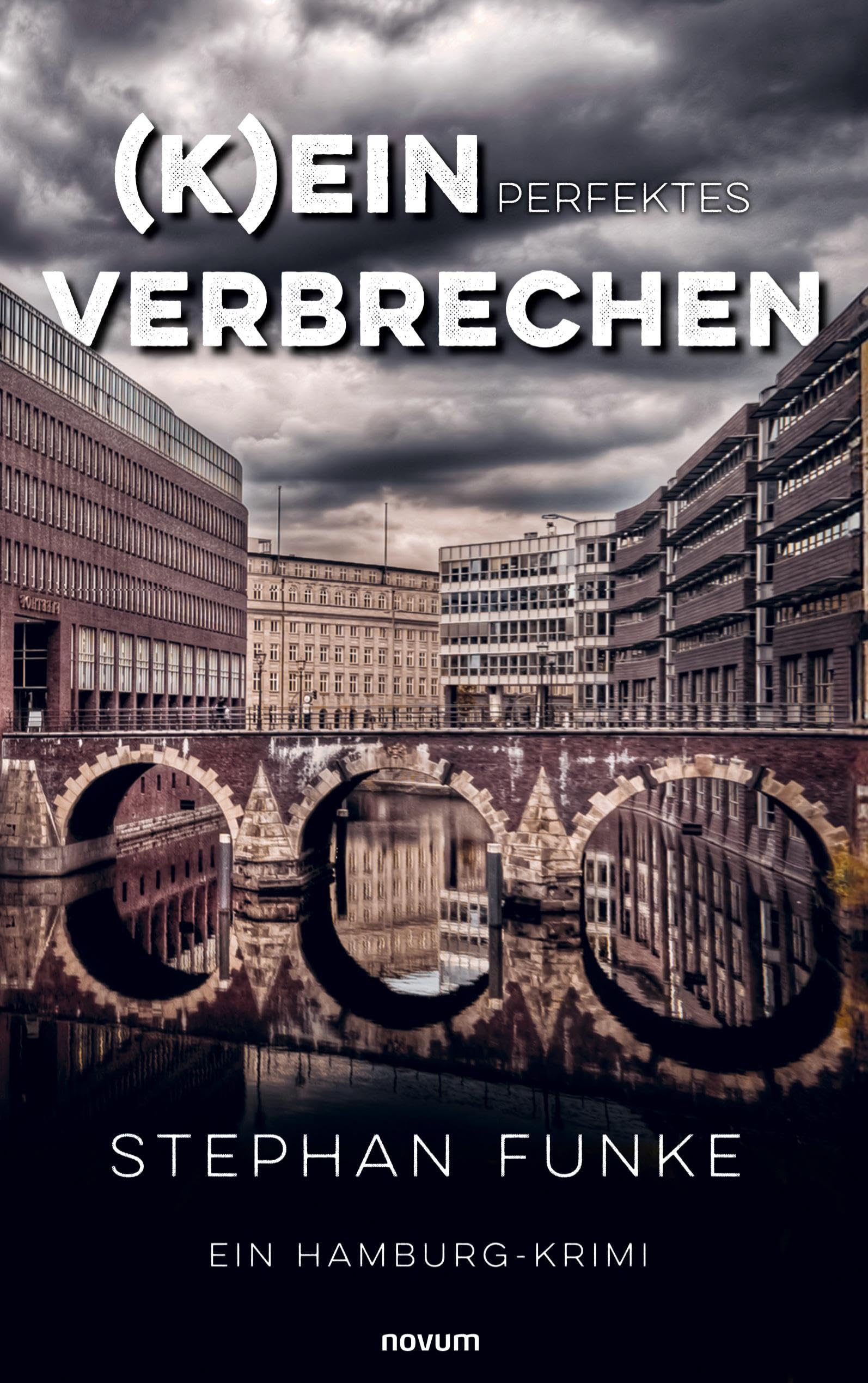 (K)ein perfektes Verbrechen Contemporary literature Books