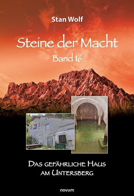 Steine der Macht - Band 16 Contemporary literature Books
