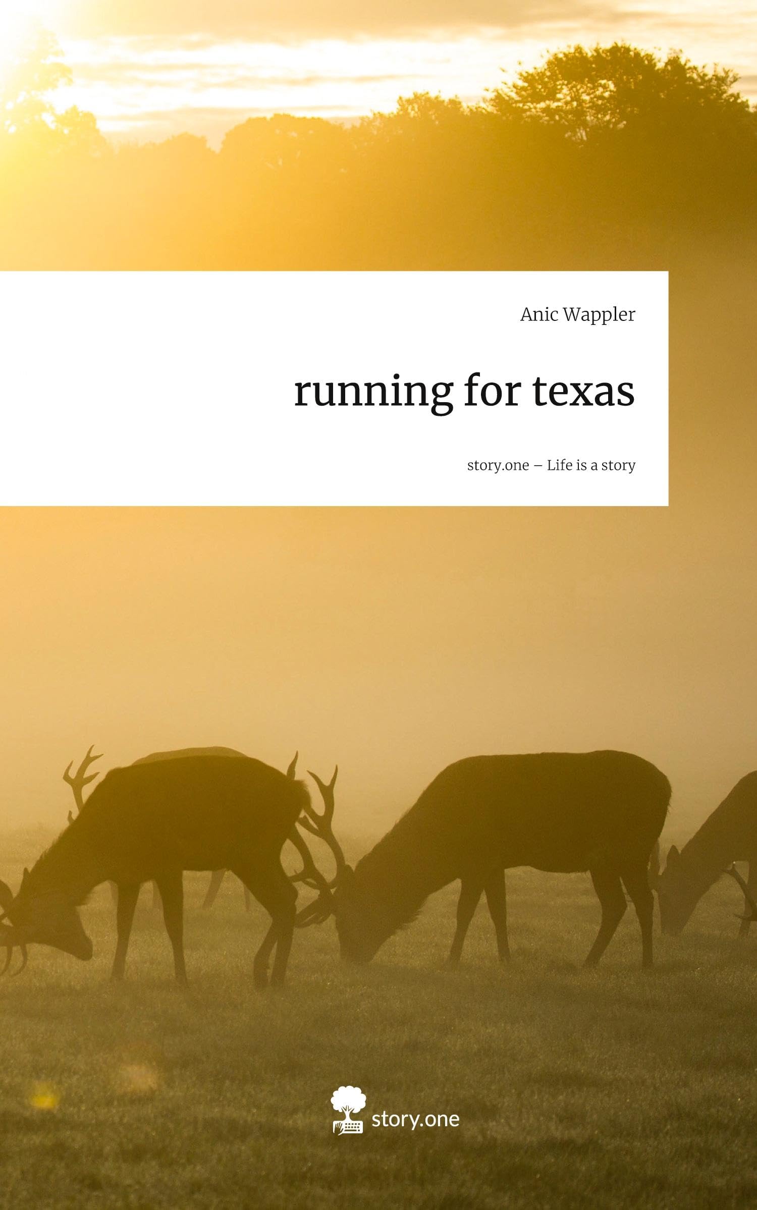 running for texas. Life is a Story - story.one Contemporary literature