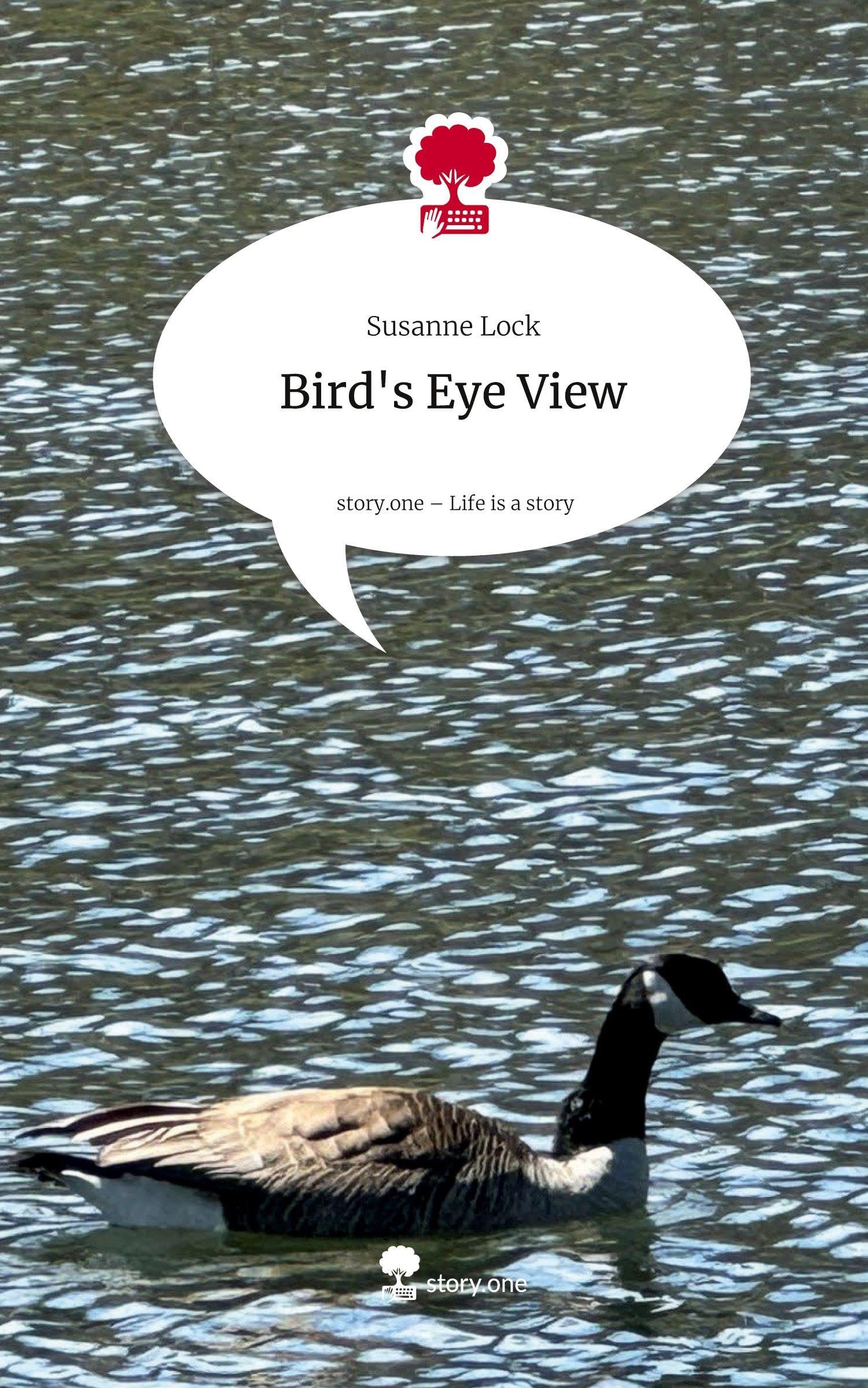 Bird's Eye View. Life is a Story - story.one Politics & Society