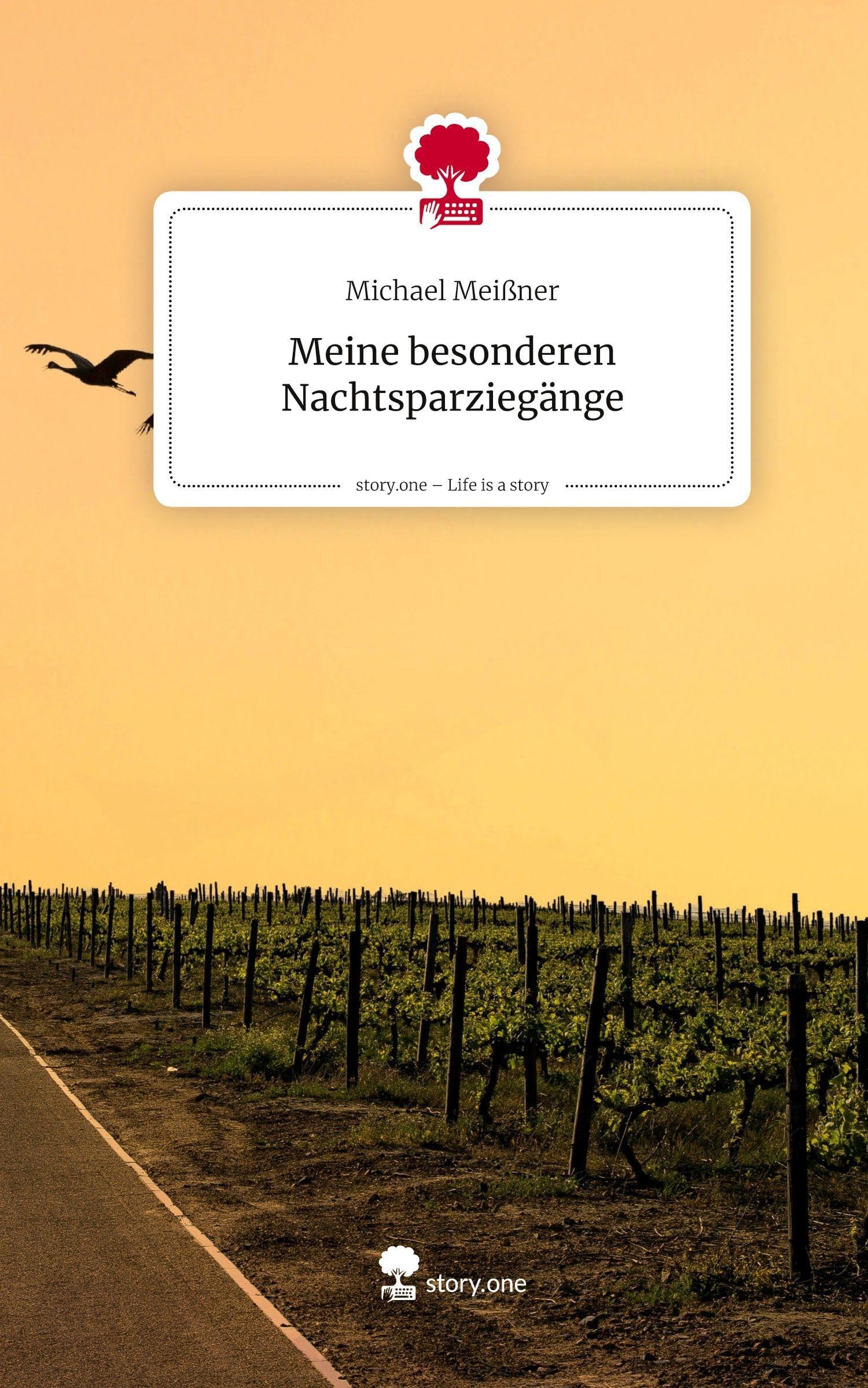 Meine besonderen Nachtsparziegänge. Life is a Story - story.one Contemporary literature