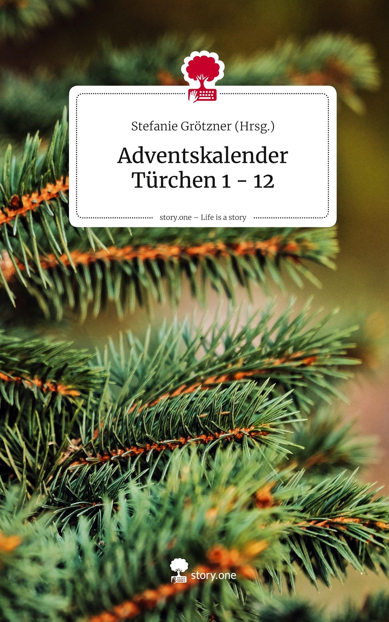 Adventskalender Türchen 1 - 12. Life is a Story - story.one Contemporary literature