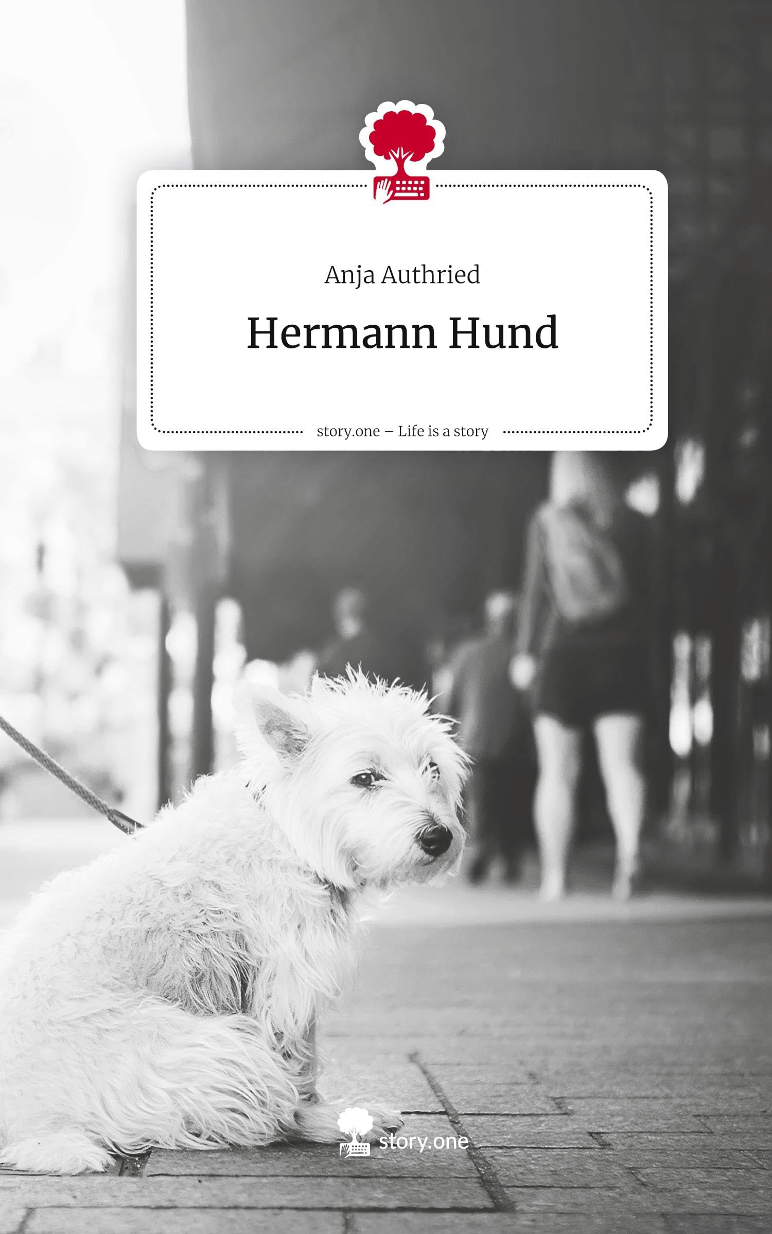 Hermann Hund. Life is a Story - story.one Contemporary literature