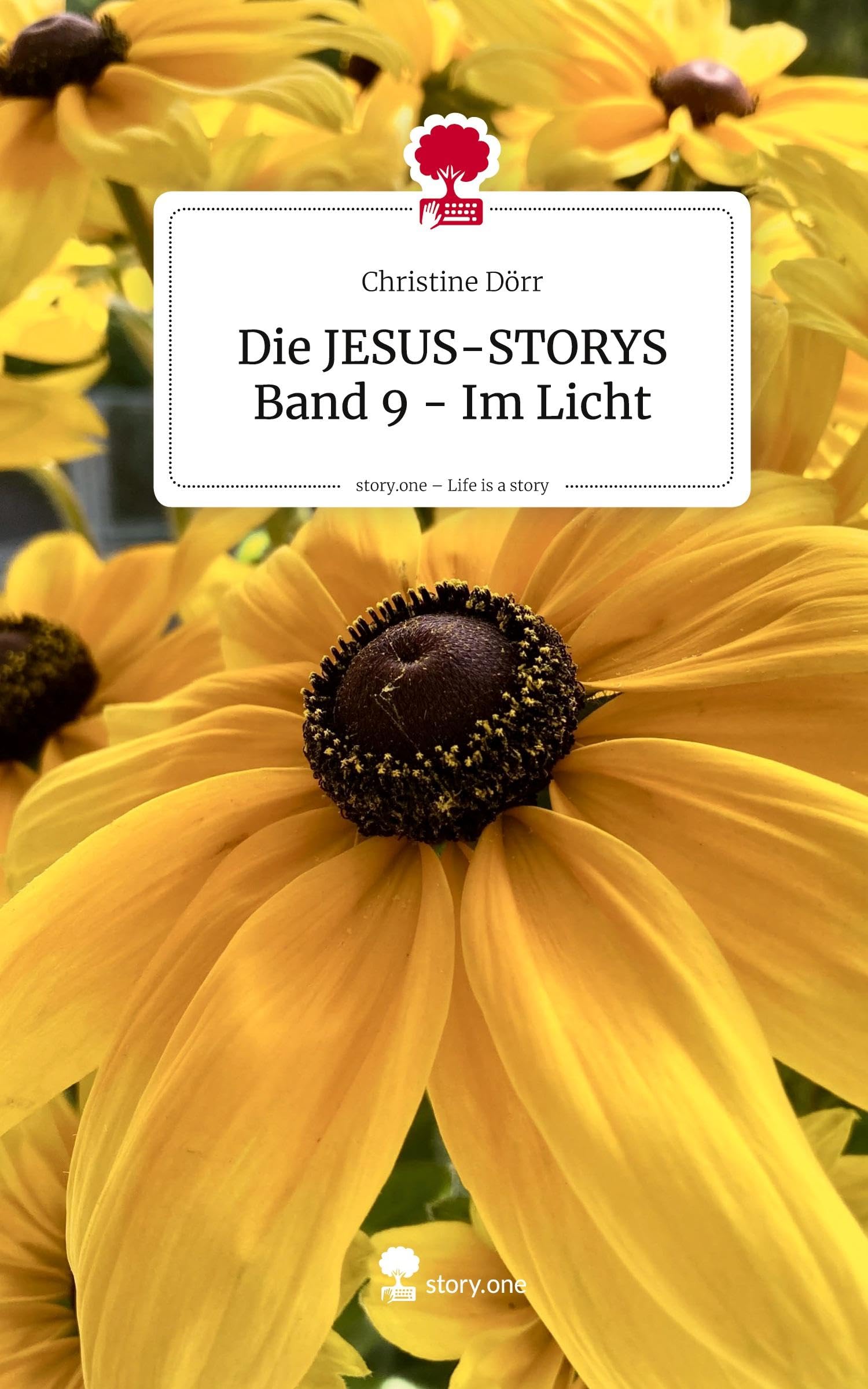 Die JESUS-STORYS Band 9 - Im Licht. Life is a Story - story.one Religion & Esotericism