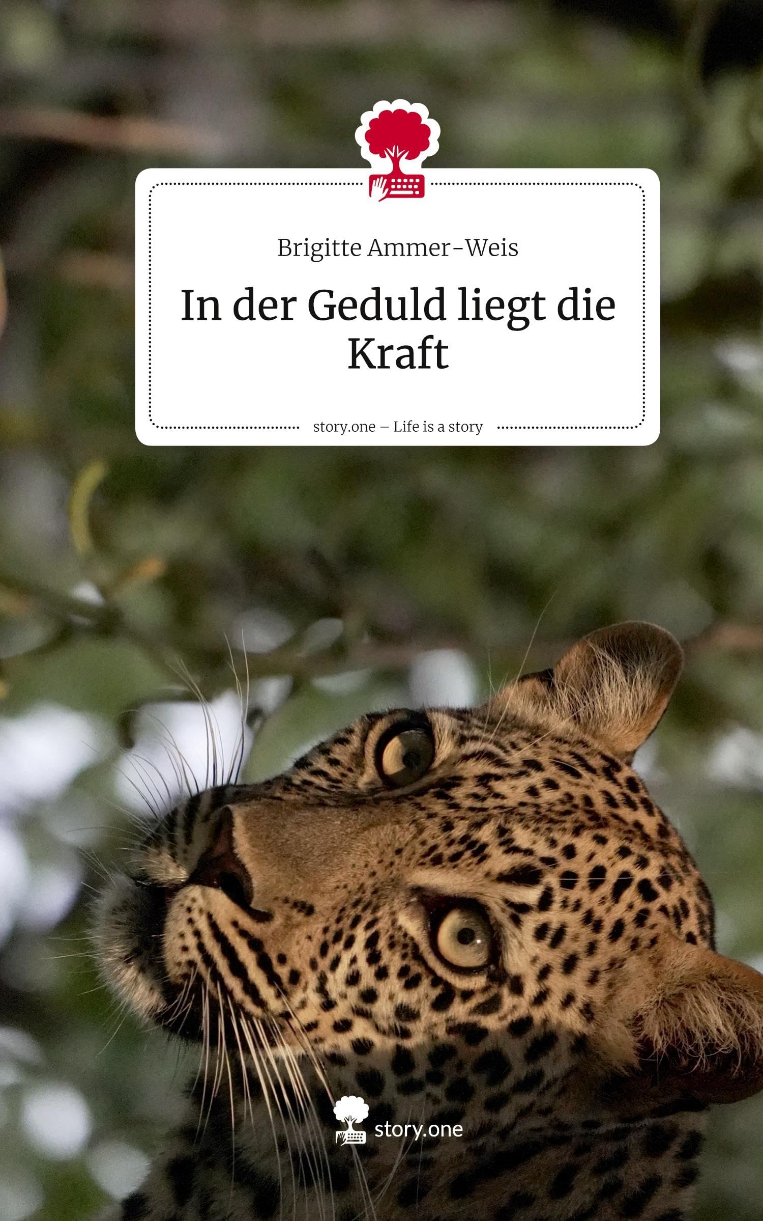 In der Geduld liegt die Kraft. Life is a Story - story.one Contemporary literature