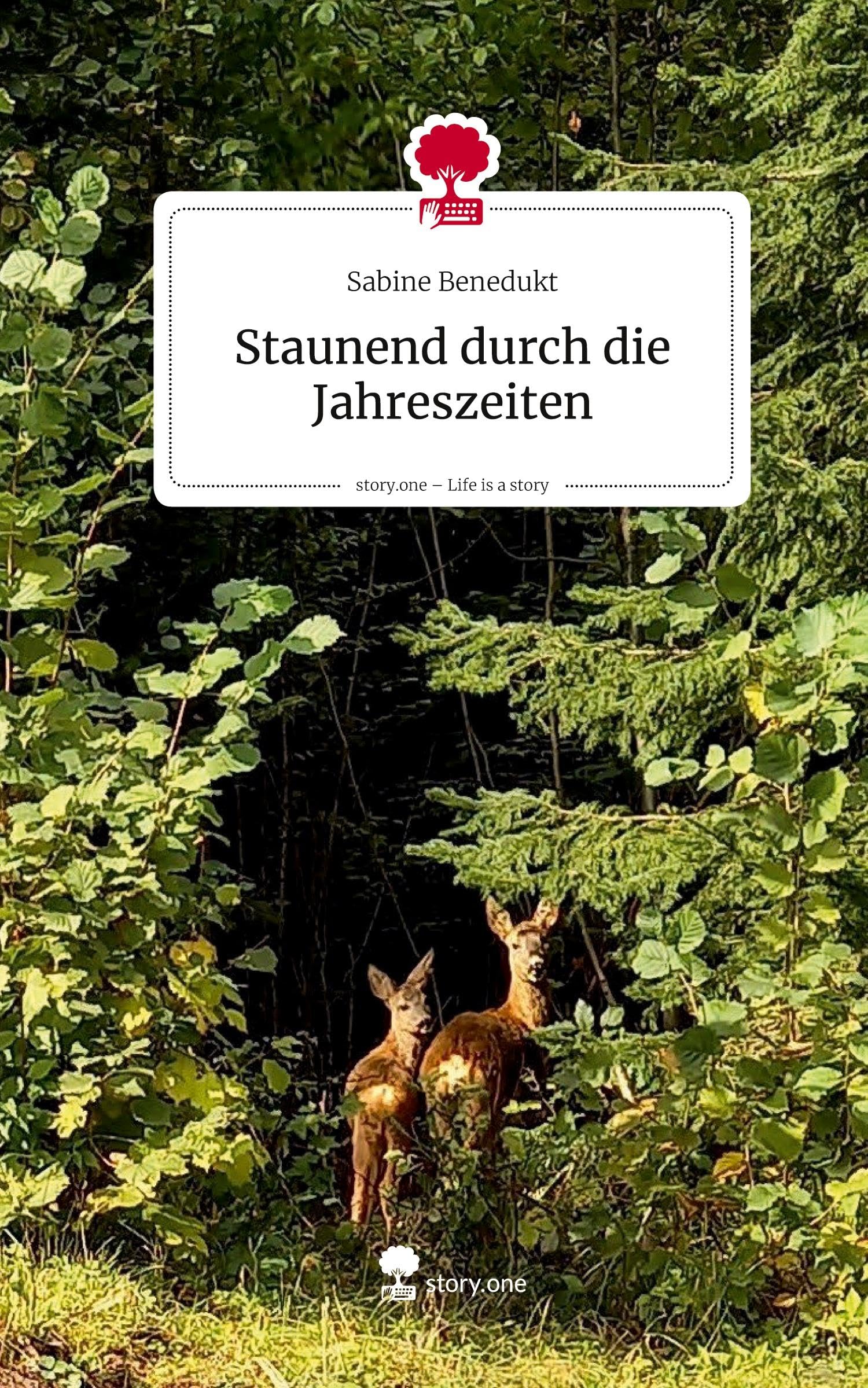 Staunend durch die Jahreszeiten. Life is a Story - story.one Contemporary literature