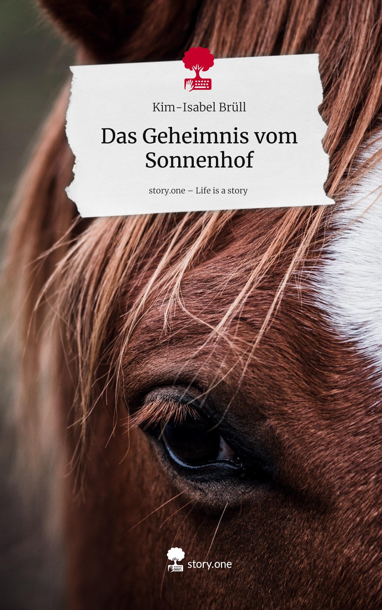 Das Geheimnis vom Sonnenhof. Life is a Story - story.one Contemporary literature