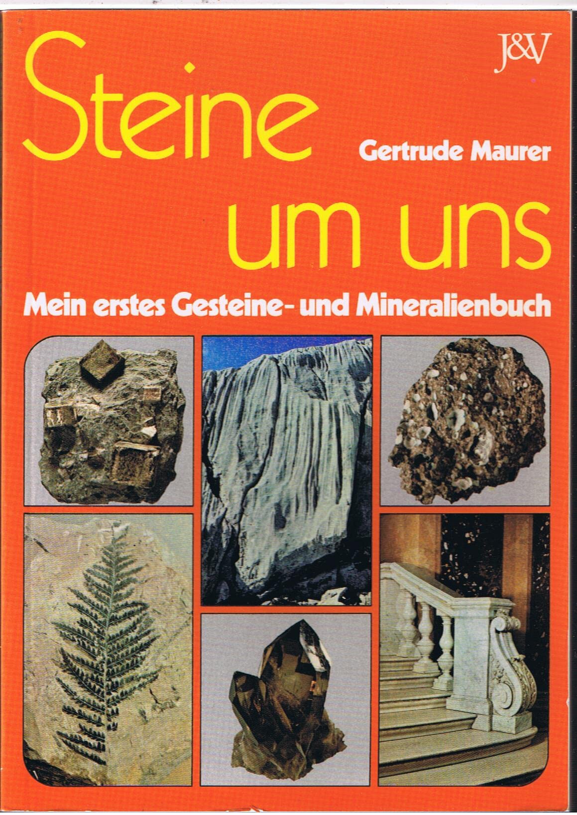 Steine um uns: Mein erstes Gesteine- und Mineralienbuch Children's books