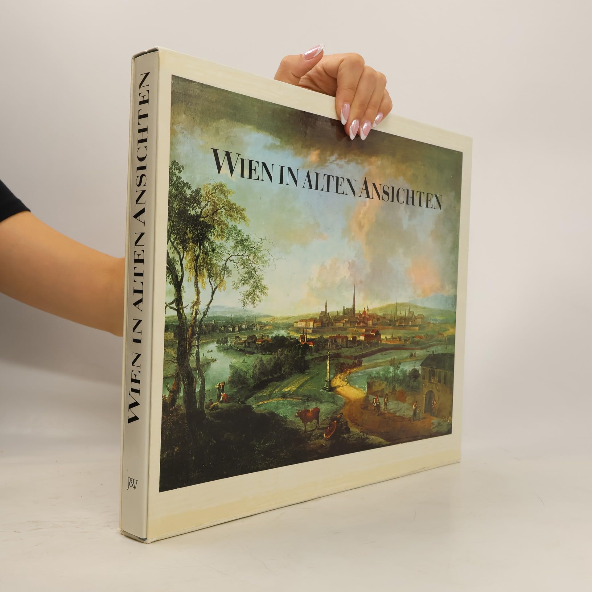Wien in alten Ansichten. Das Werden der Wiener Vedute Contemporary literature