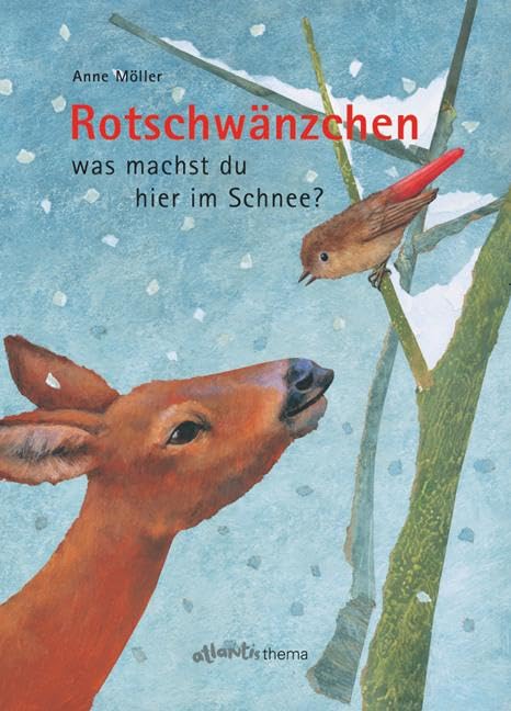 Rotschwänzchen - was machst du hier im Schnee? Natural Sciences
