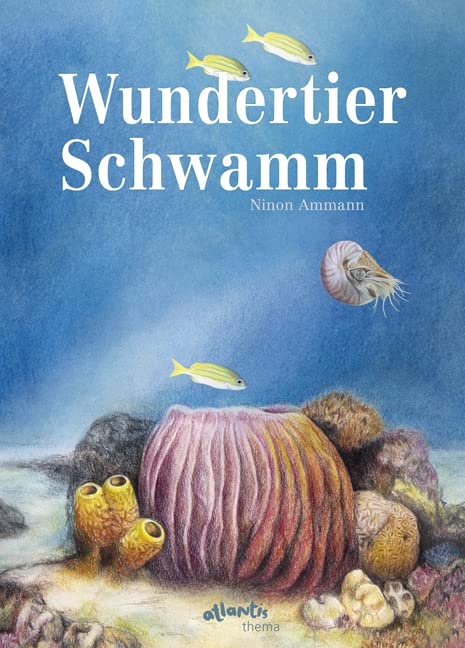 Wundertier Schwamm Business & Technology