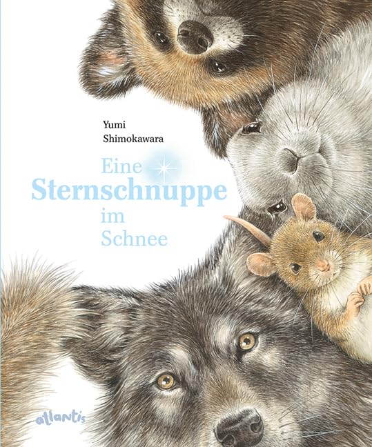 Eine Sternschnuppe im Schnee Non-fiction