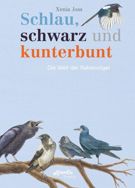 Schlau, schwarz und kunterbunt Leisure, Home & Garden