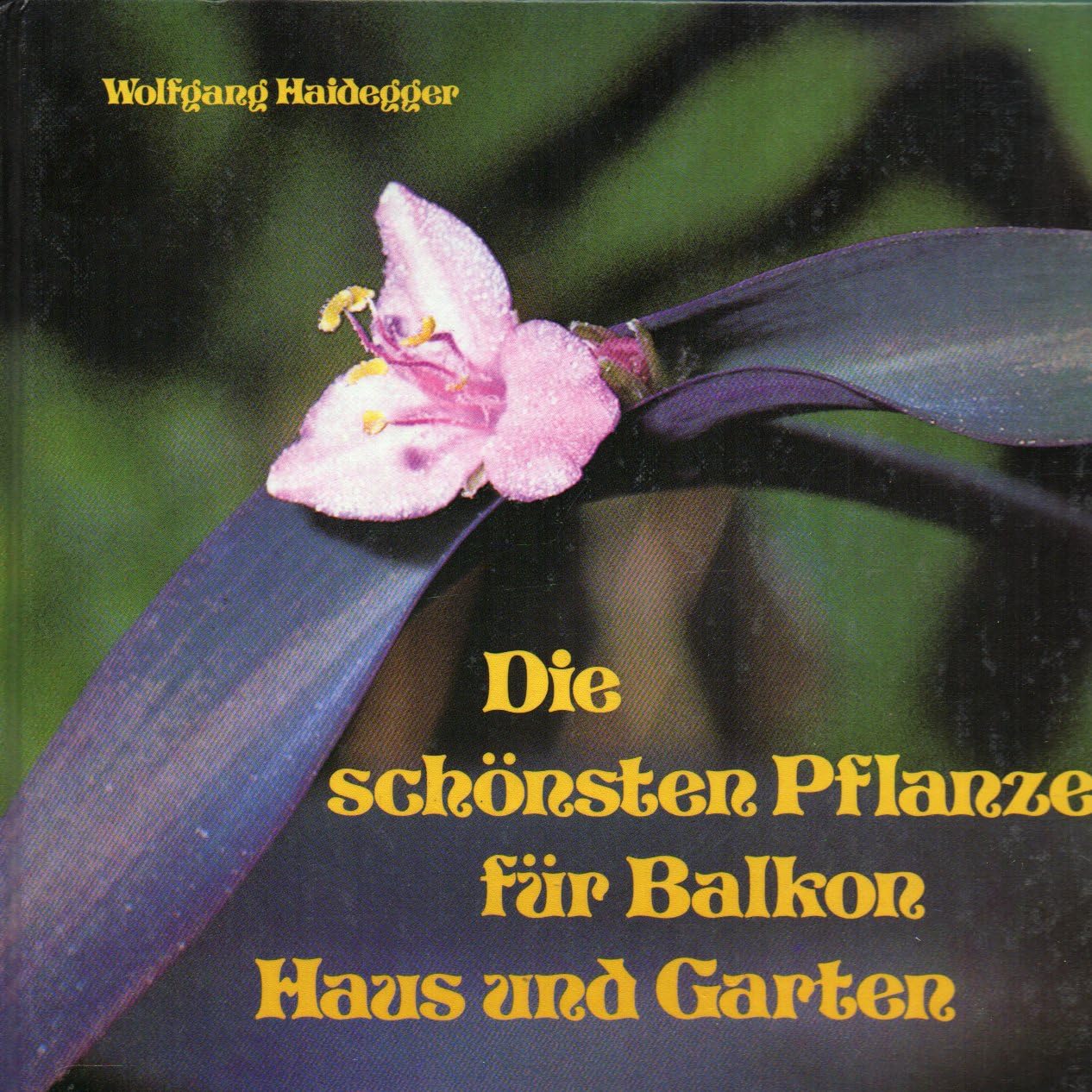 Haidegger, Wolfgang: Die schönsten Pflanzen für Balkon, Haus und Garten. Books