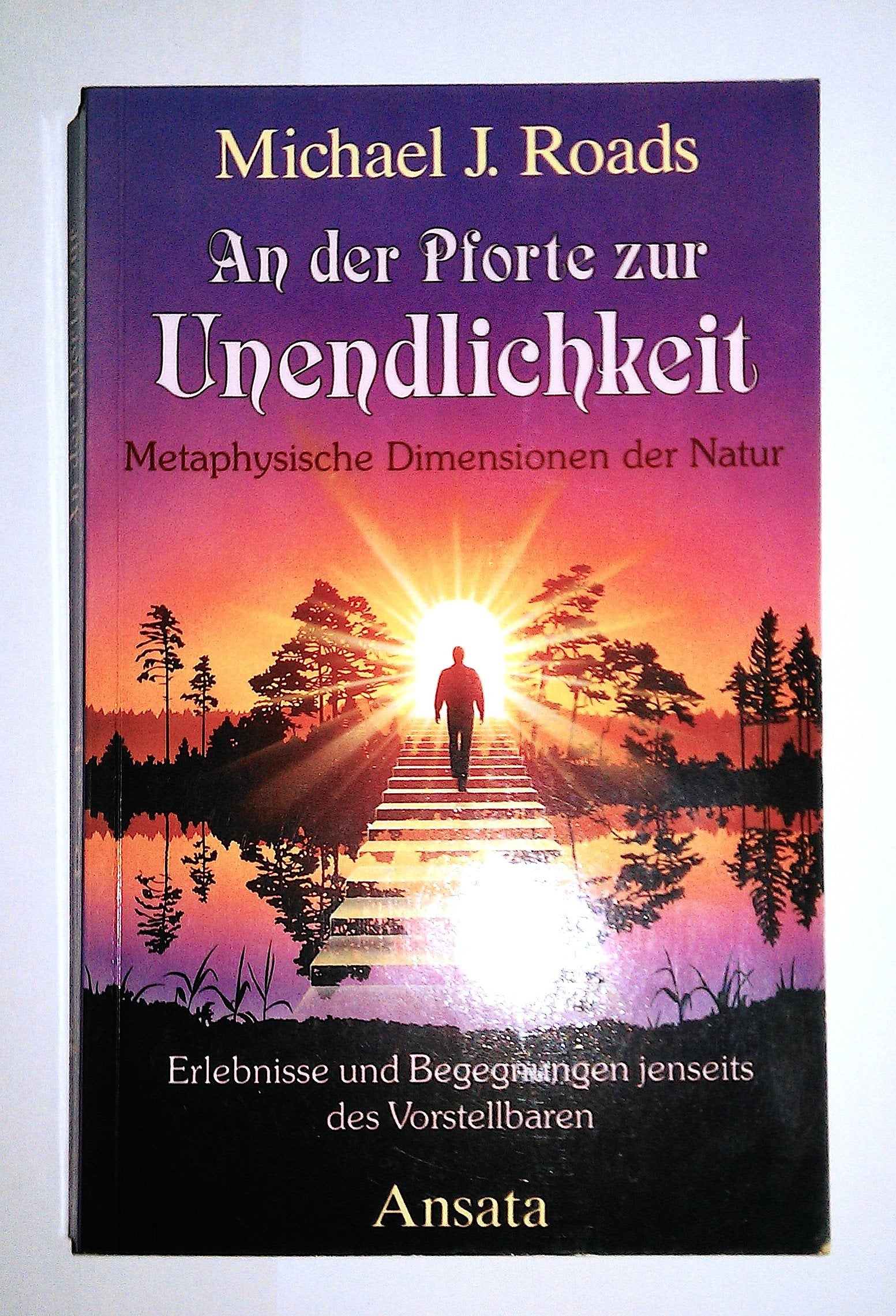 An der Pforte zur Unendlichkeit. Erlebnisse und Begegnungen jenseits des Vorstellbaren Religion & Esotericism