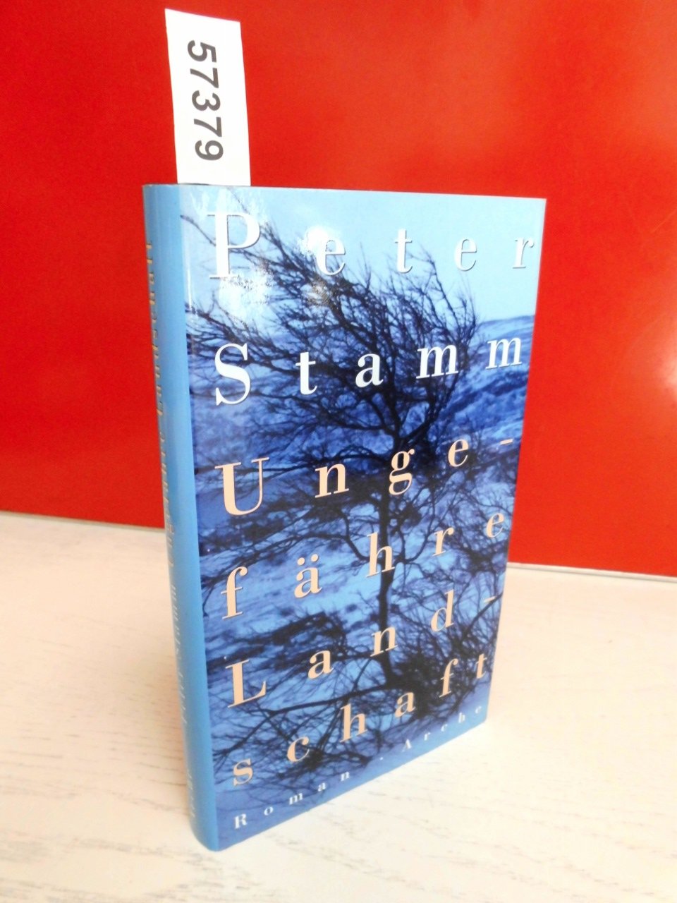 Ungefähre Landschaft. Roman Contemporary literature