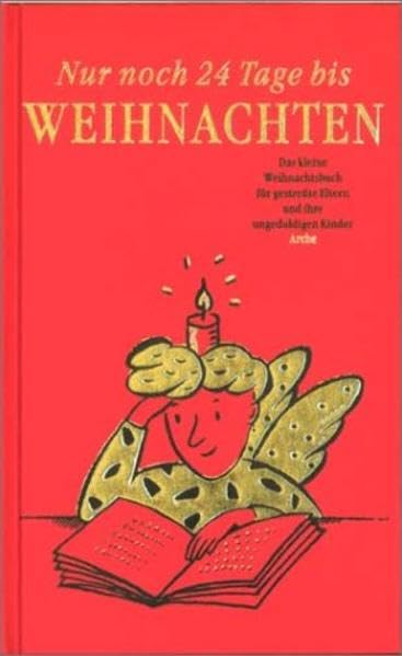 Nur noch 24 Tage bis Weihnachten: 24 Karikaturen für gestresste Eltern und 24 Geschichten für ihre ungeduldigen Kinder (Arche Weihnachtsbücher) Lifestyle