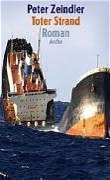 Toter Strand: Roman Contemporary literature