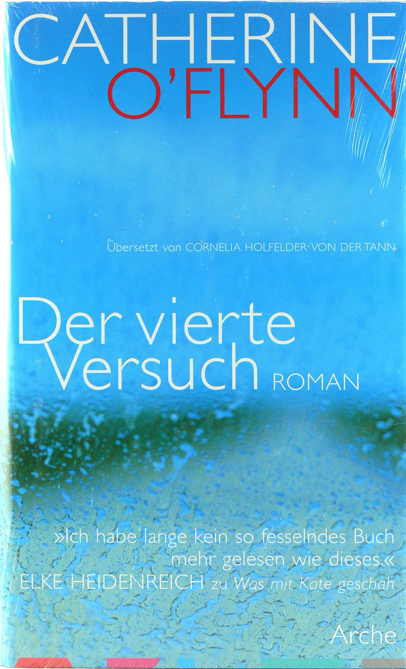 Der vierte Versuch Contemporary literature Books