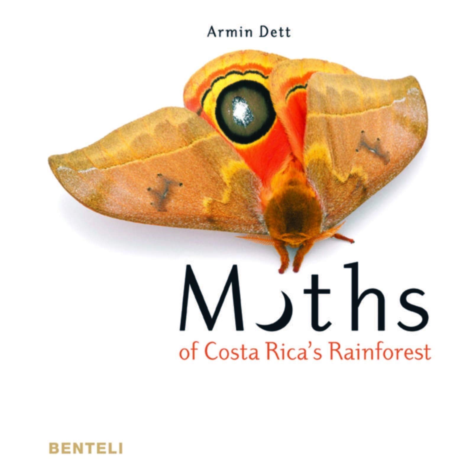 Moths of Costa Rica's Rainforest Nature & Animals