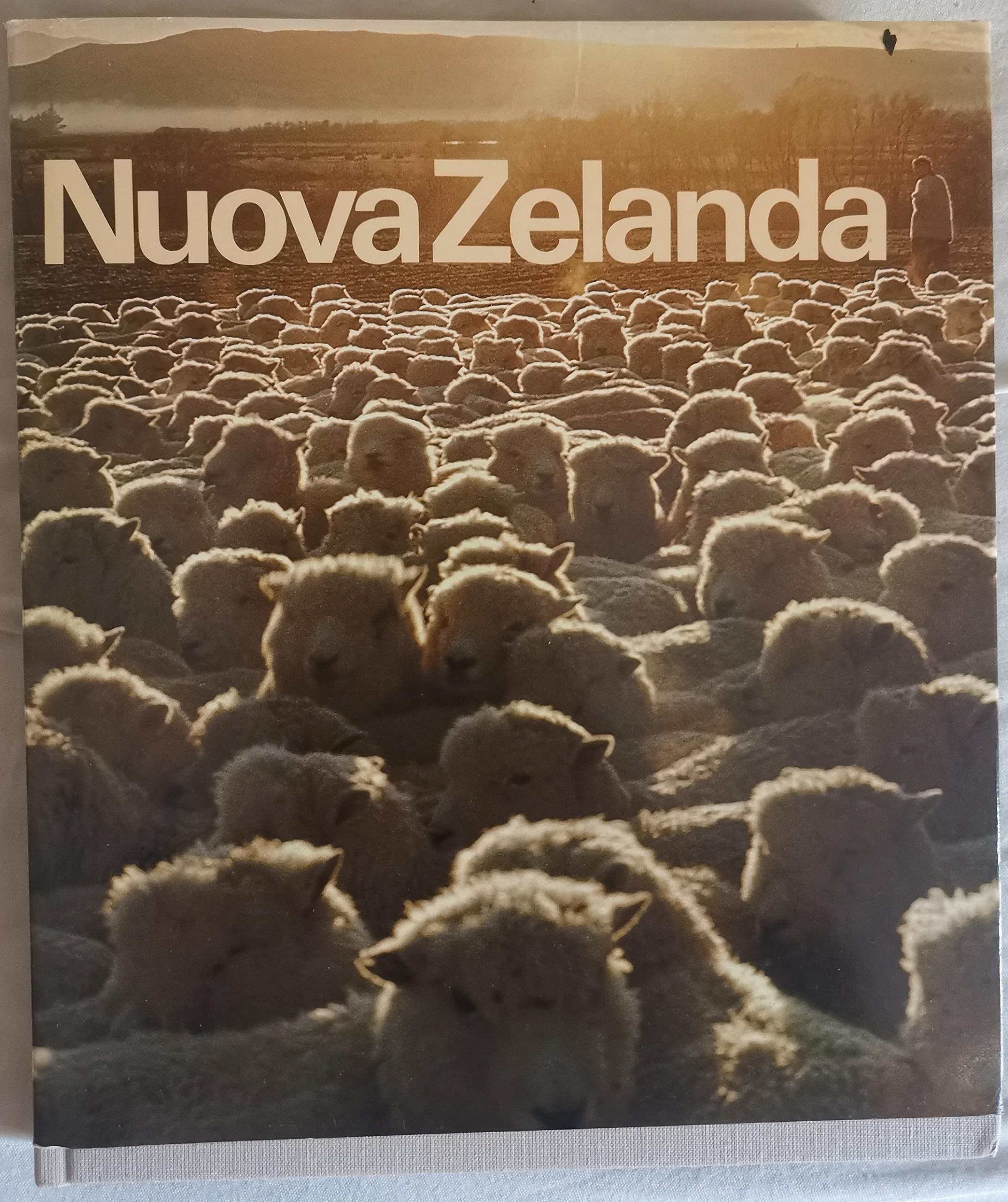 Neuseeland, Eine Schweiz am anderen Ende der Welt ? Books