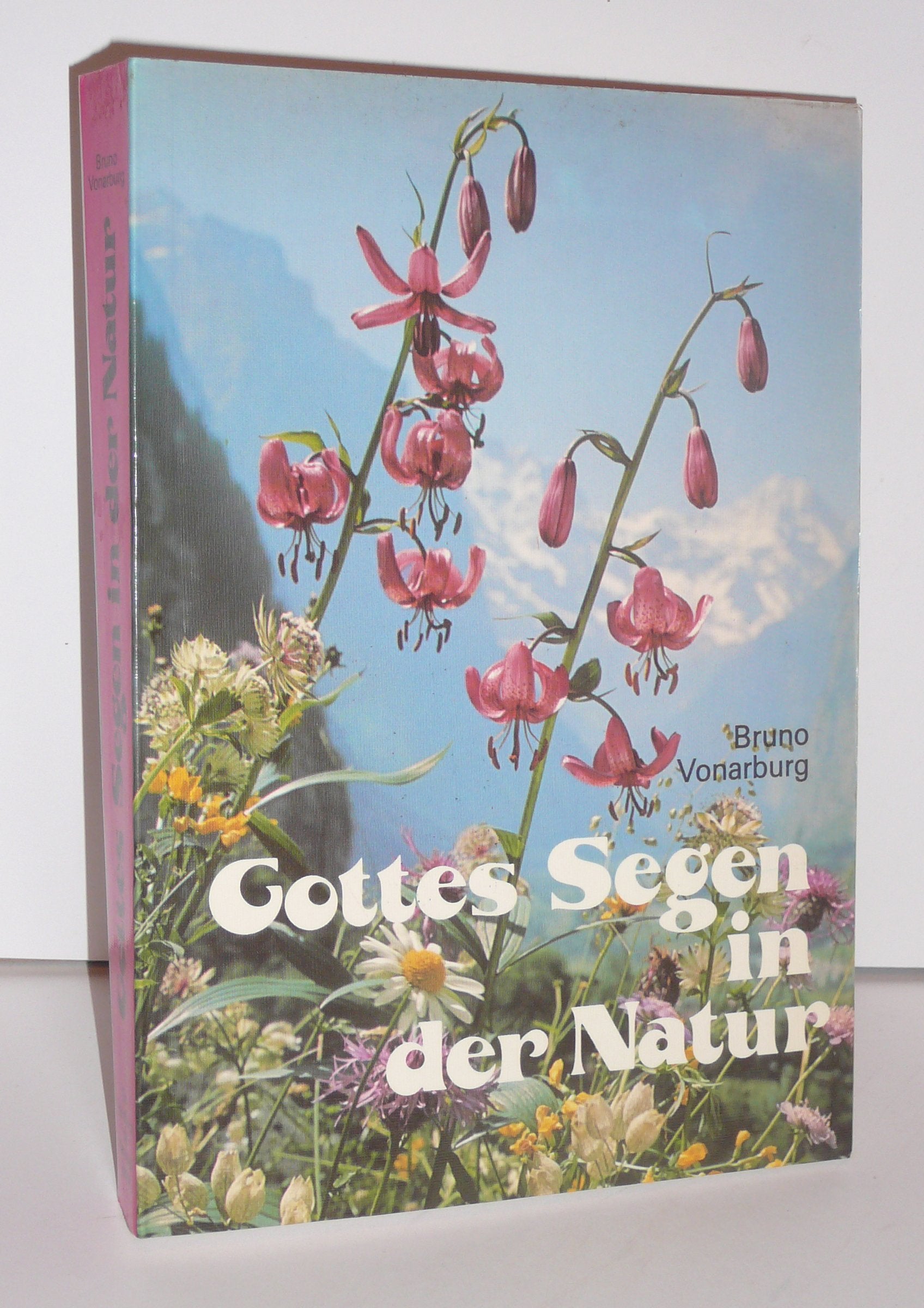Gottes Segen in der Natur. Kräuter-, Ernährungs-, Erd-, Wasser-, Luft- und Lichttherapie mit Rezepten, Anwendungen und über 40 ... Lichttherapie m. Rezepten, Anwendungen . . . Medicine