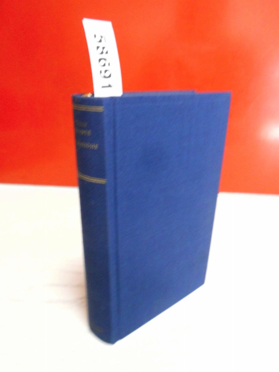 Sturmhöhe (Manesse-Bibliothek der Weltliteratur) Classics