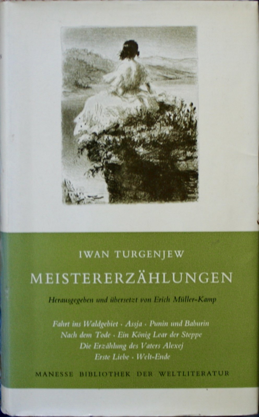 Meistererzählungen: Nachw. v. Erich Müller-Kamp Fiction